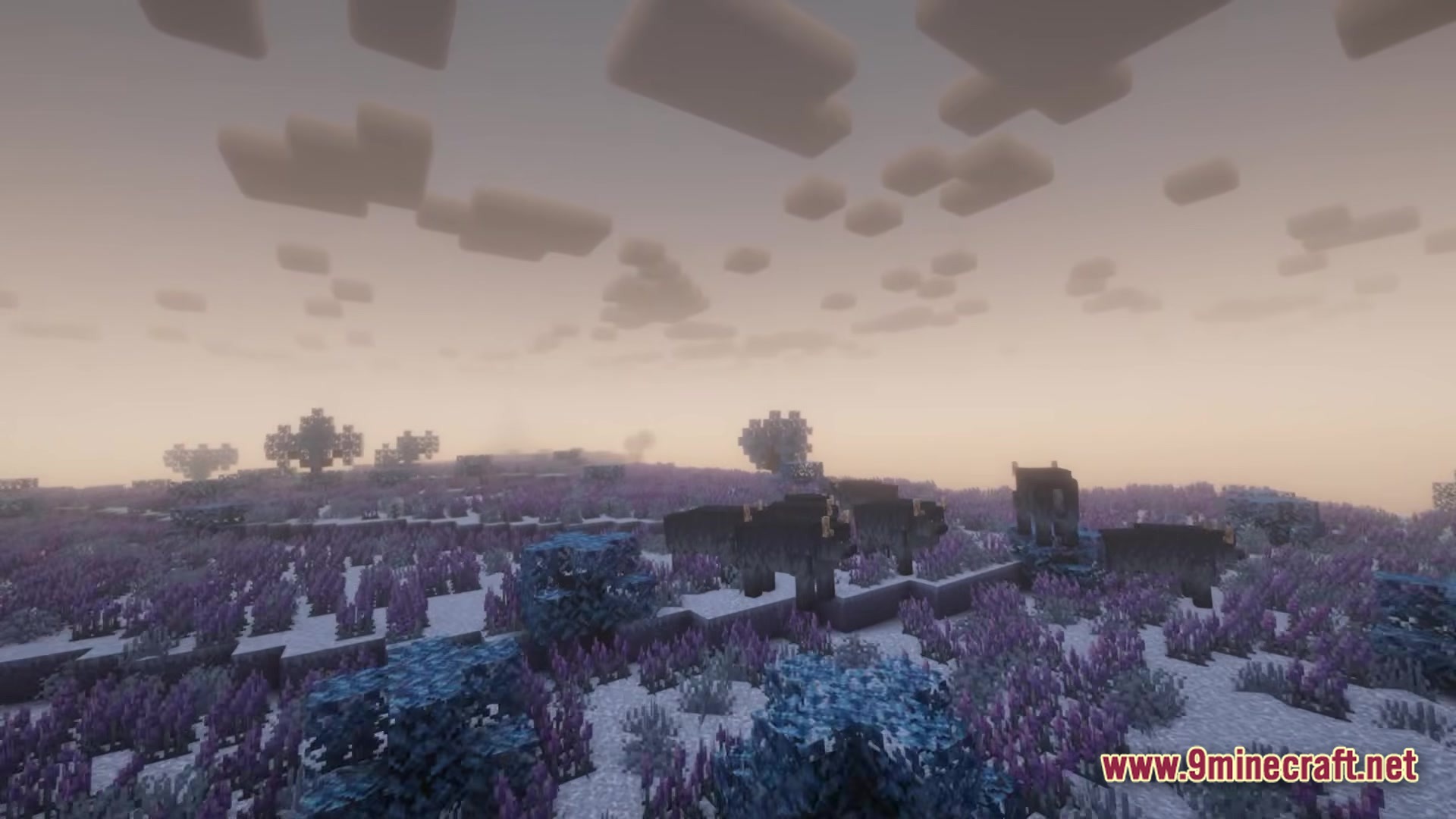 Better MC BMC5 Modpack Screenshot 3 A herd of bison grazing in a snowy lavender field biome under a foggy sky