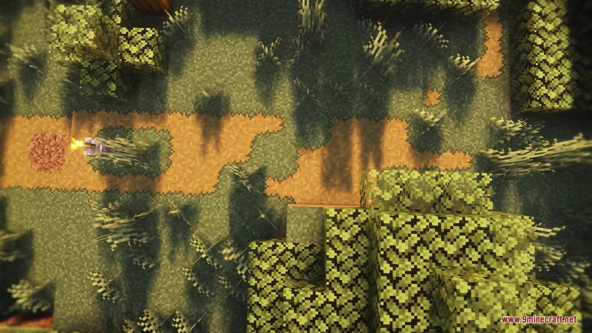 Better Vanilla Building Overlays Resource Pack Screenshot 4 Top down view of a path featuring natural block overlays between textures