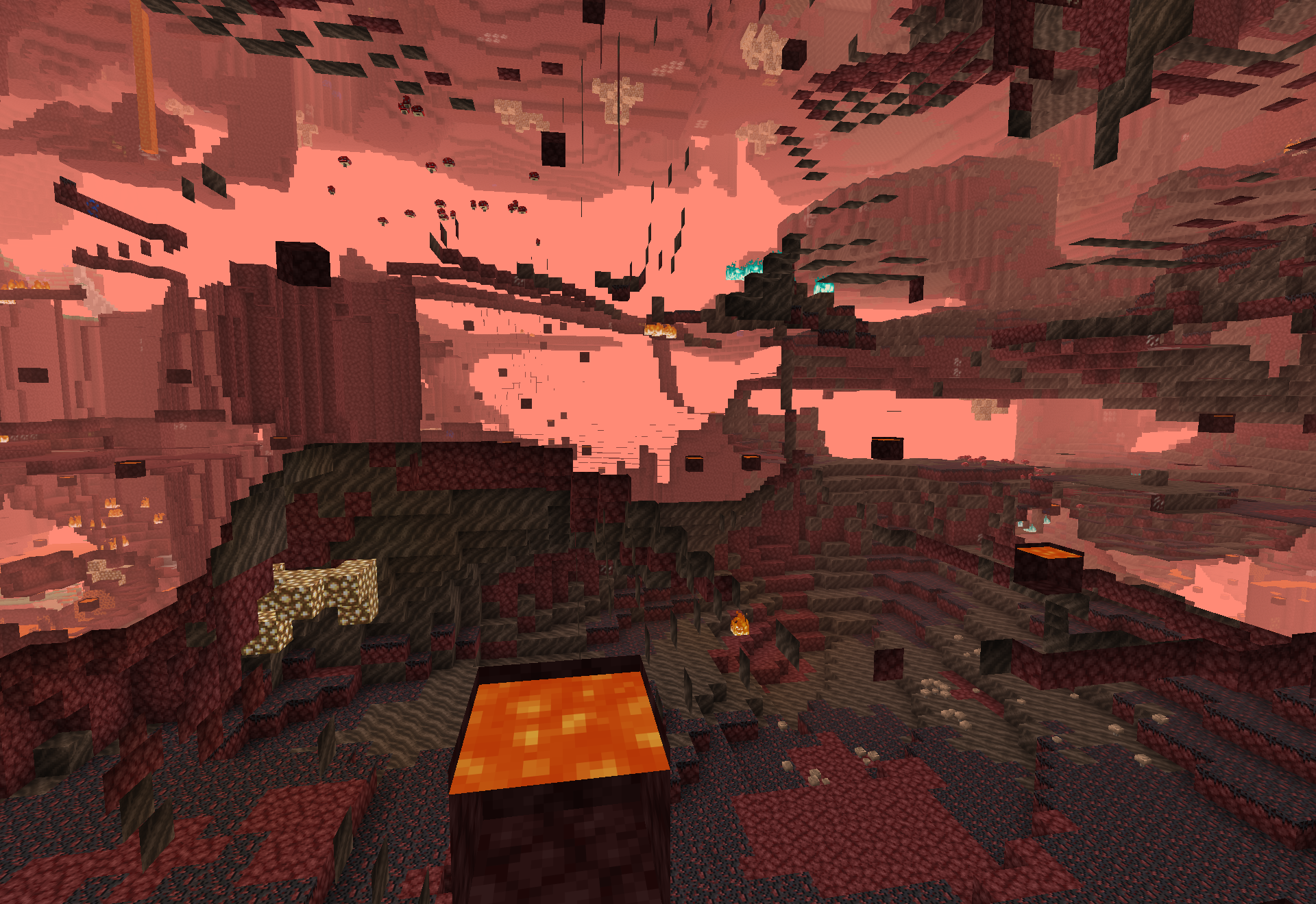 The gravel desert biome - a barren stretch of netherrack and gravel with glowstone pockets and small mushrooms on the ceiling.