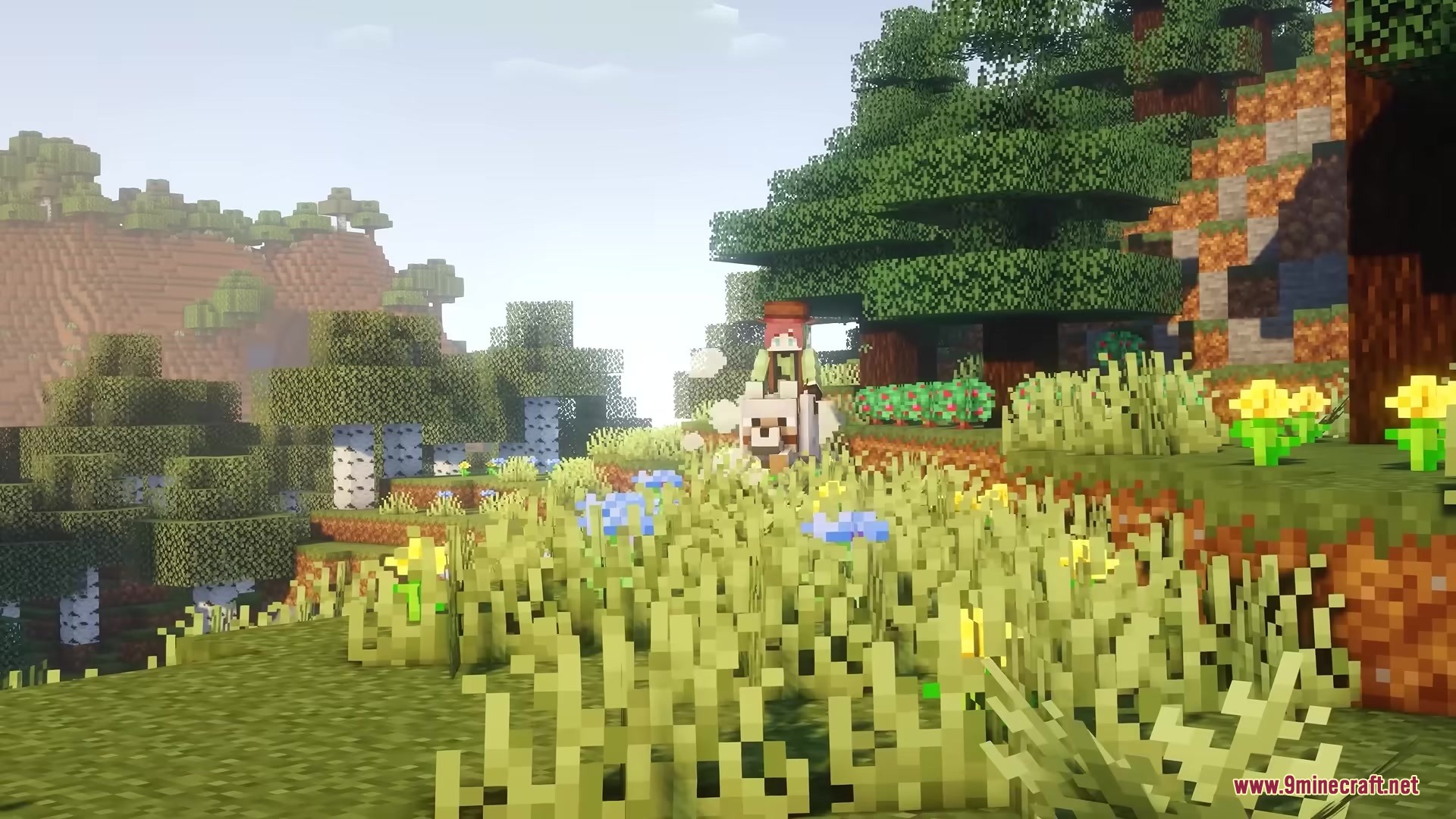 Beyond Horses Resource Pack Screenshot 1 A character riding a white llama across a sunlit field of tall grass