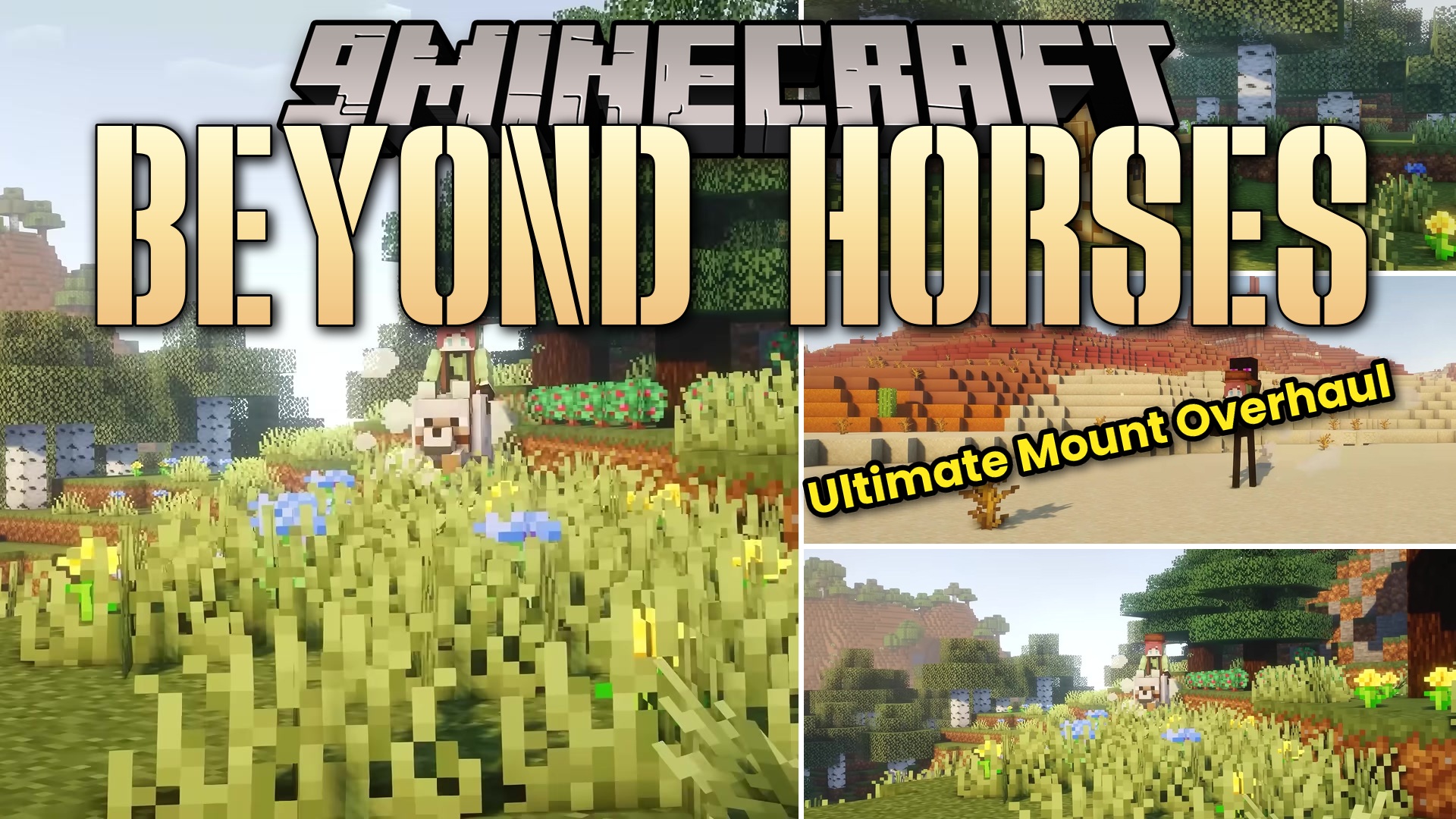 Beyond Horses Resource Pack