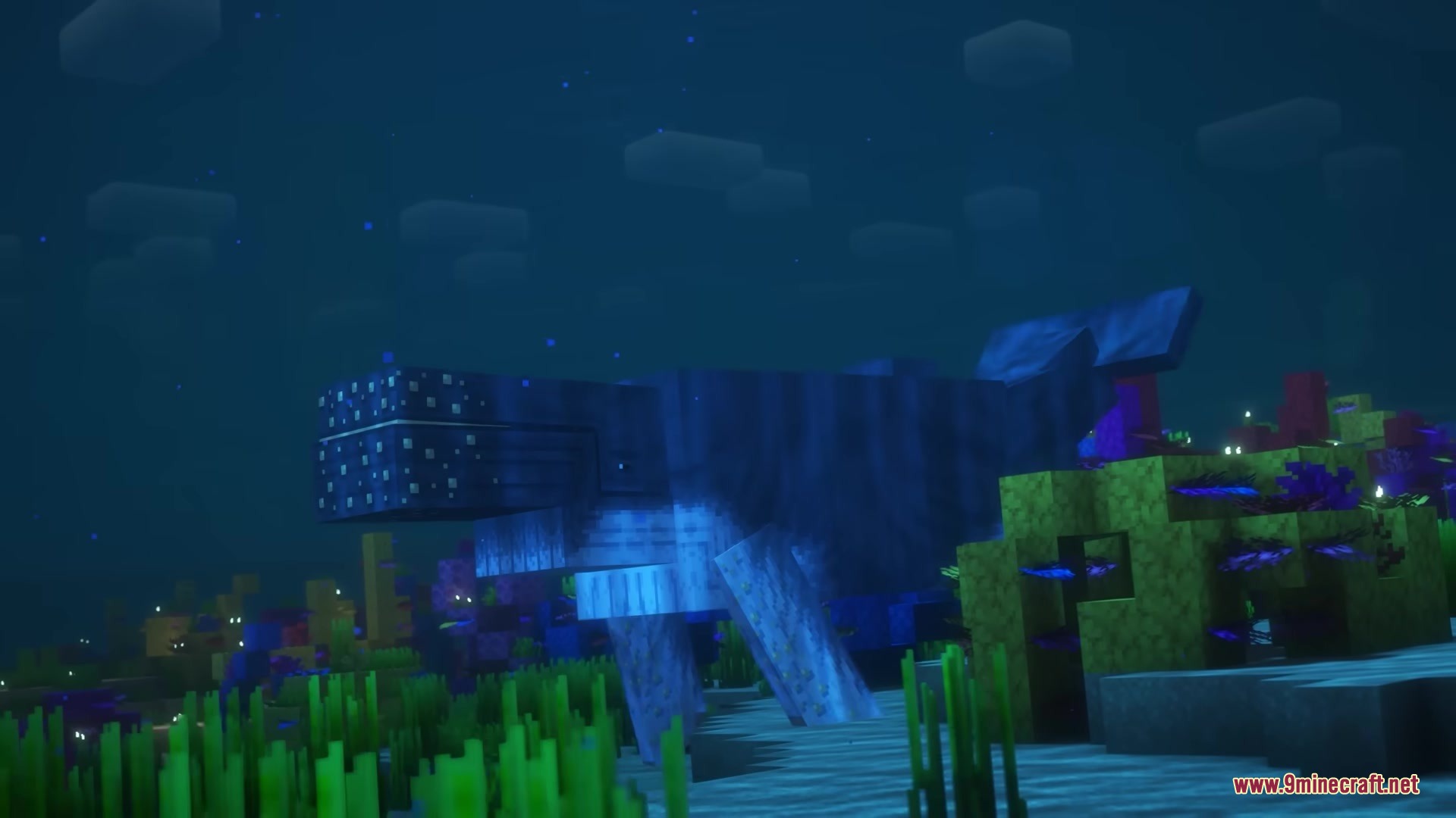 Giant blue whale swimming through a vibrant underwater coral reef biome