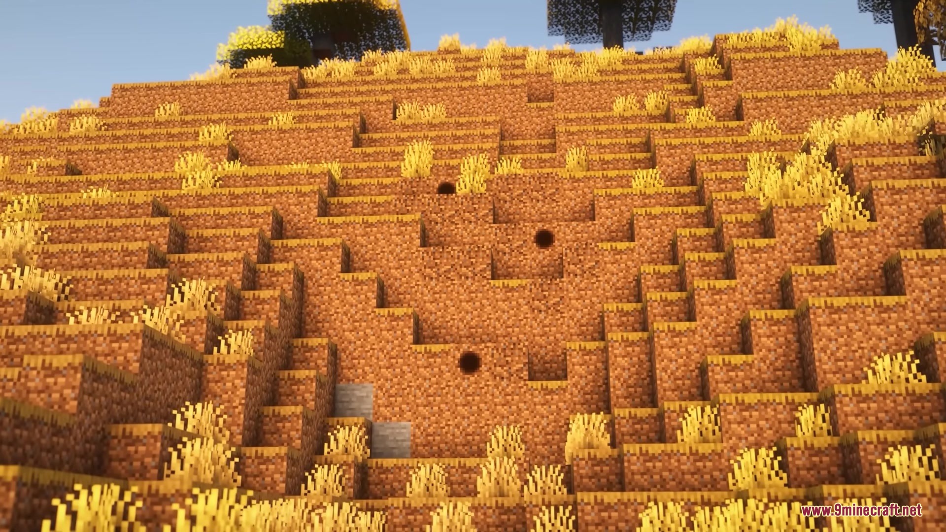 Small animal burrows scattered across a grassy hillside in the savanna