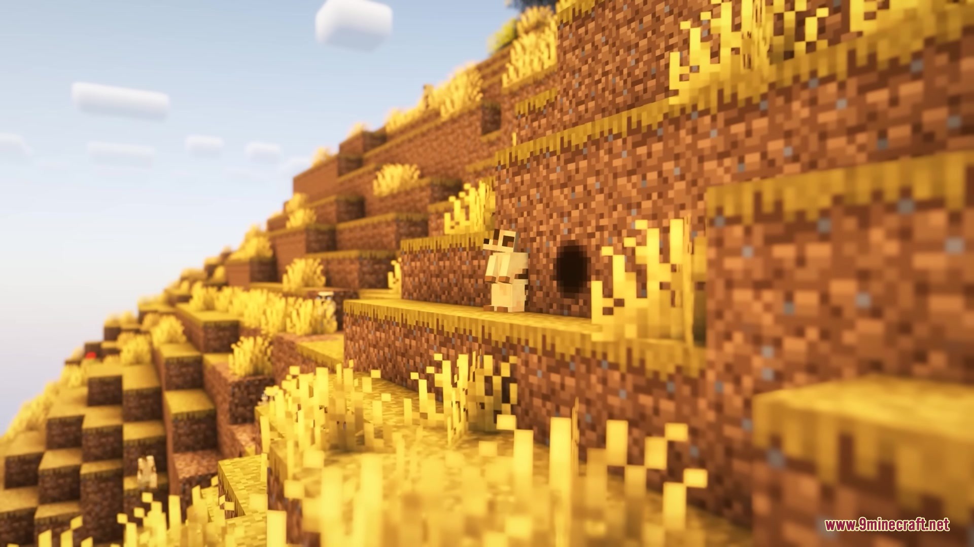 A meerkat stands alert near its burrow on a grassy savanna hillside