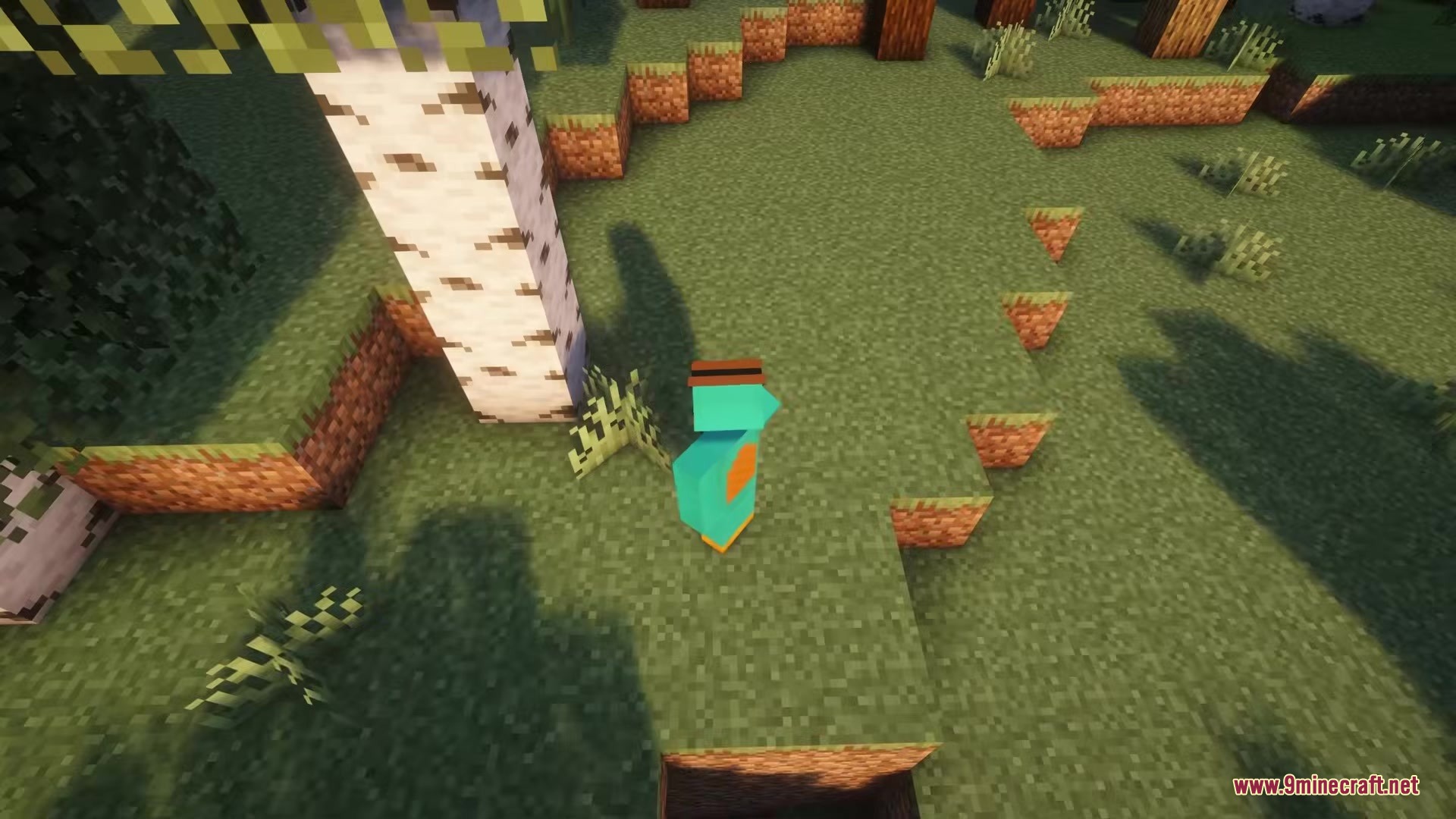 Biome Blends Mod Screenshot 5 A player standing on grass blocks near a tall birch tree