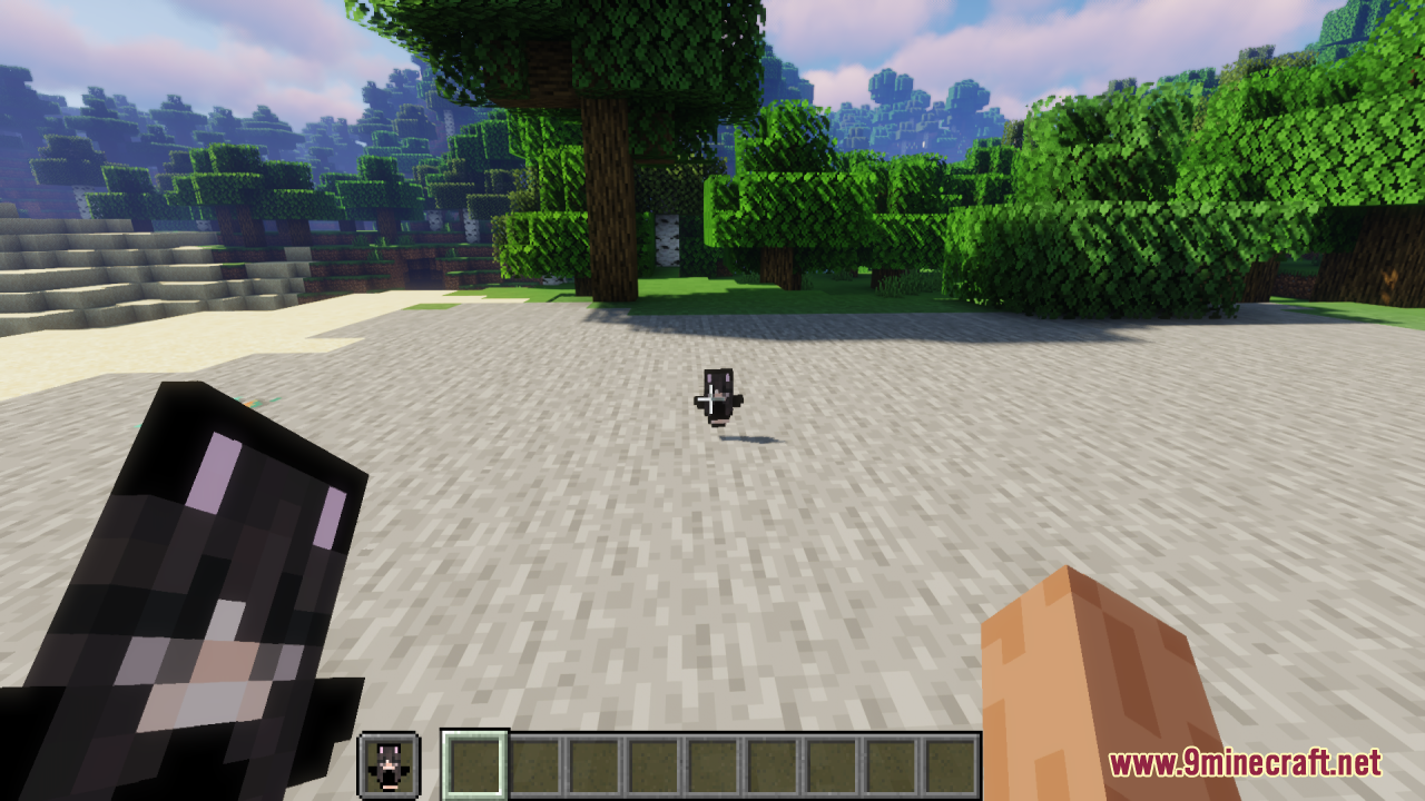 A custom character totem item dropped on the ground in a forest biome