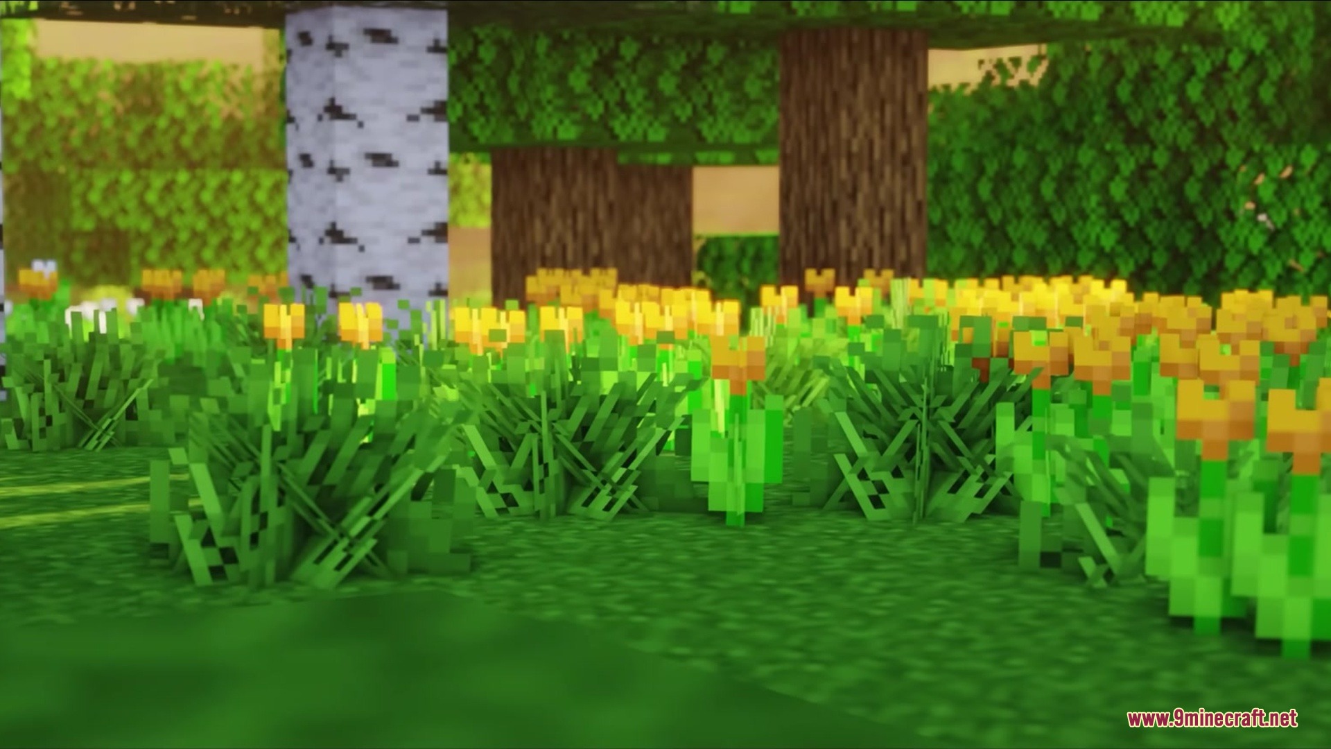 Blak Suit's Bushy Grass Resource Pack Screenshot 4 Close up view of thick green grass and yellow flowers in forest