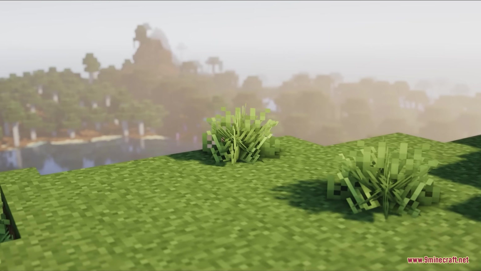 Blak Suit's Bushy Grass Resource Pack Screenshot 5 Blak Suits Bushy Grass Resource Pack makes the ground look much thicker