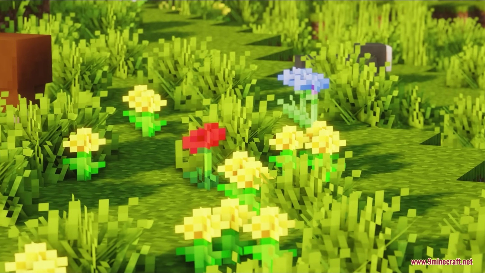 Blak Suit's Bushy Grass Resource Pack Screenshot 6 Vibrant flowers blooming among dense green grass in a sunny field