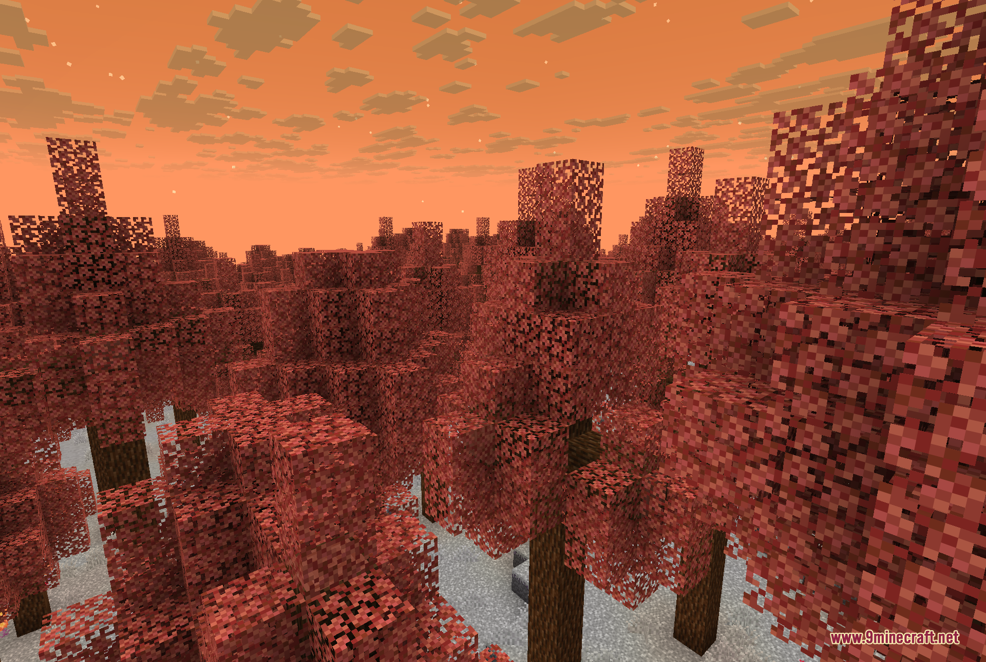 The Everdawn, the darker and warmer dimension, where reddish-pink foliage trees rise from the pale ground beneath a deep orange sky.