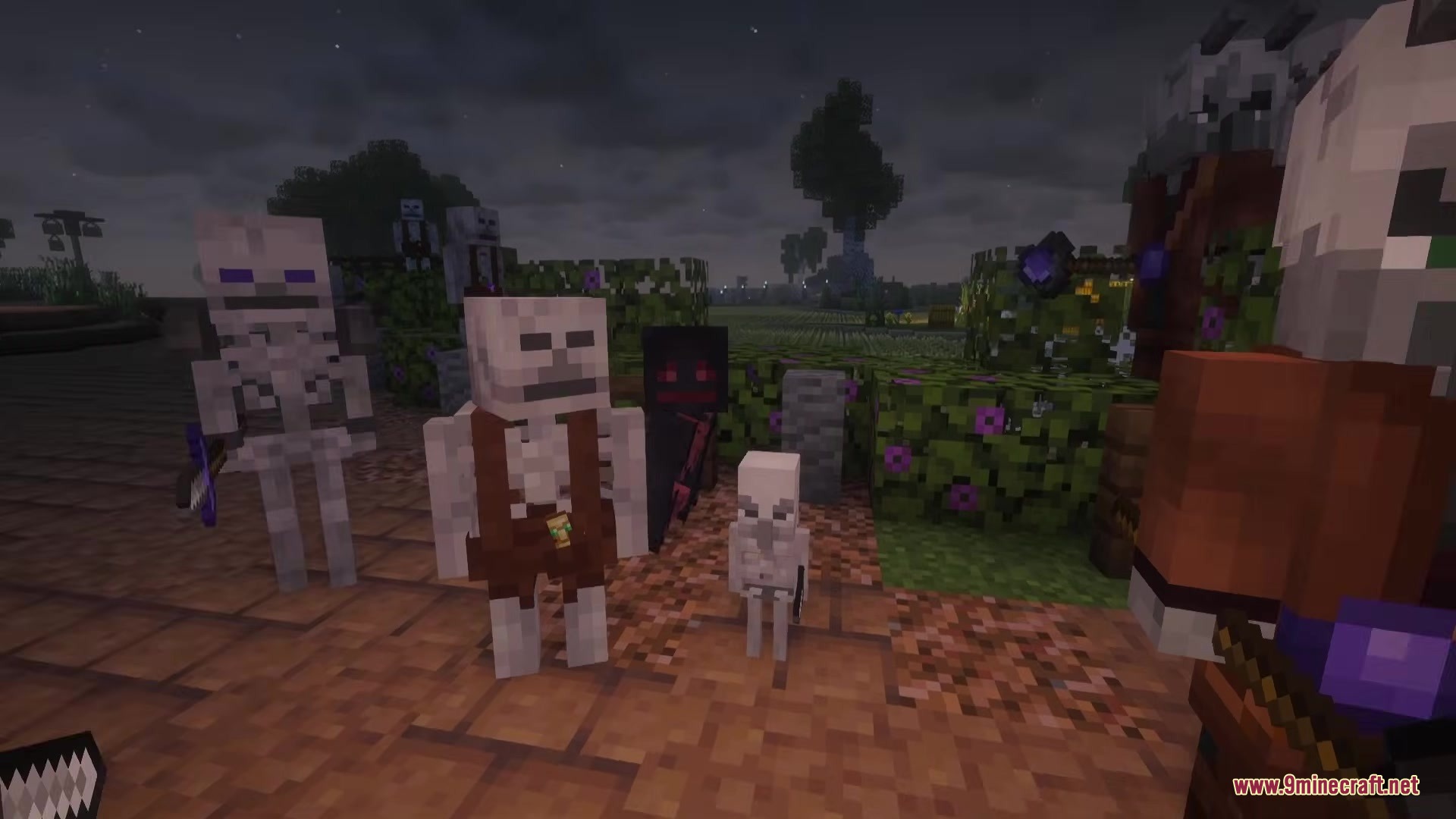 Bones Update Mod Screenshot 6 Different types of undead skeleton enemies standing together in a dark Minecraft world