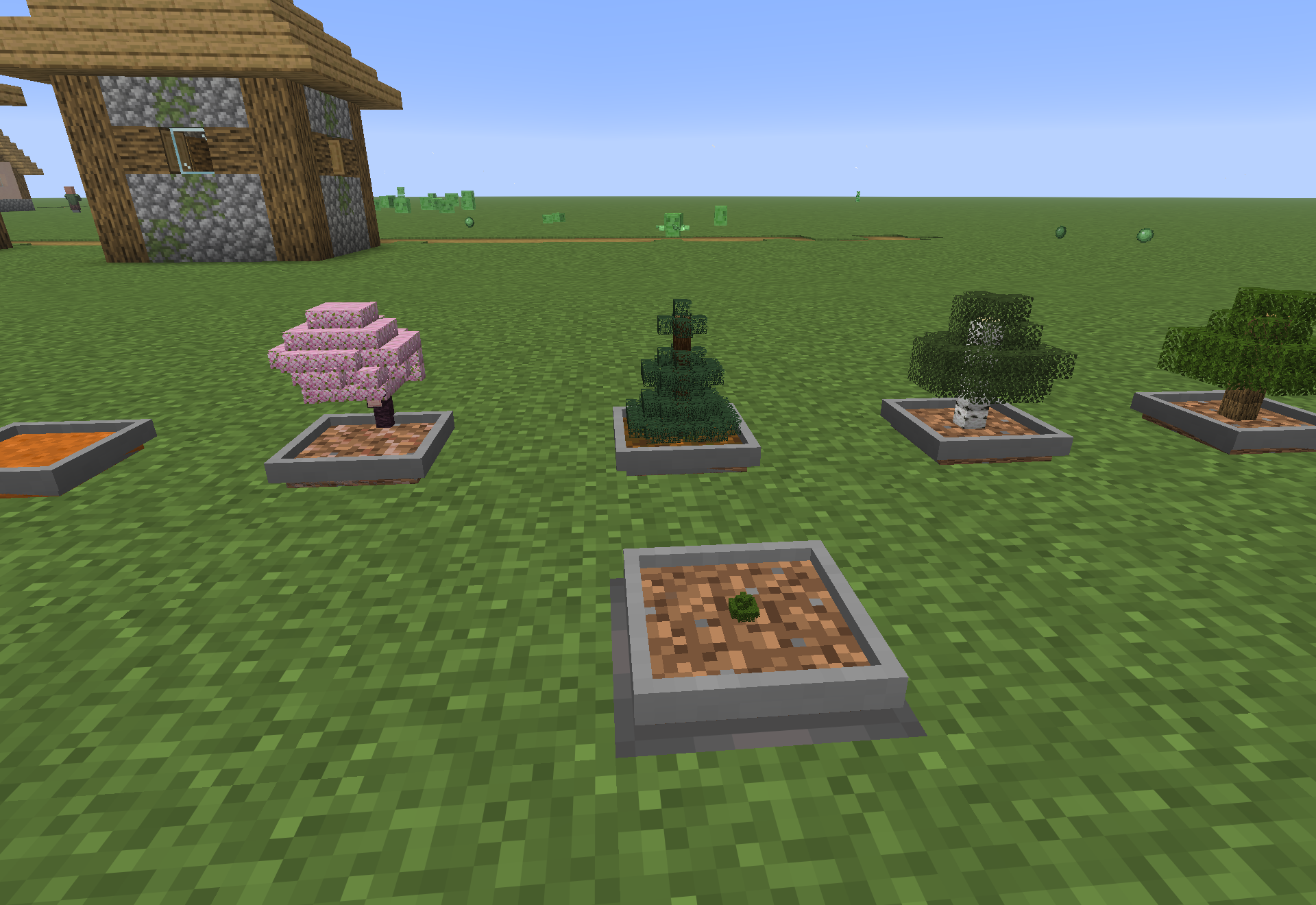 A row of bonsai pots growing cherry, spruce, birch and jungle trees in miniature.
