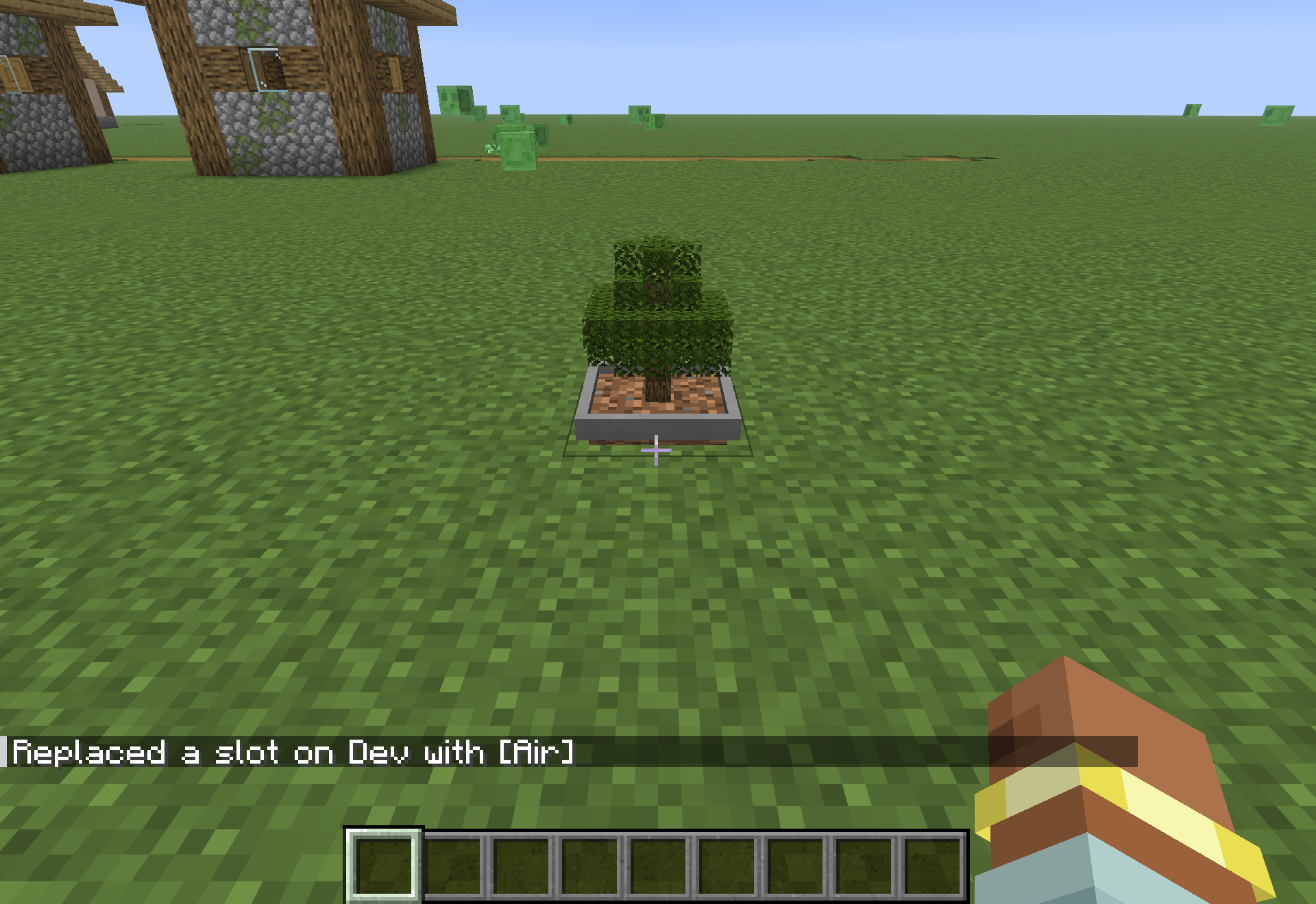 A bonsai pot placed in a village, seen from the player's view.