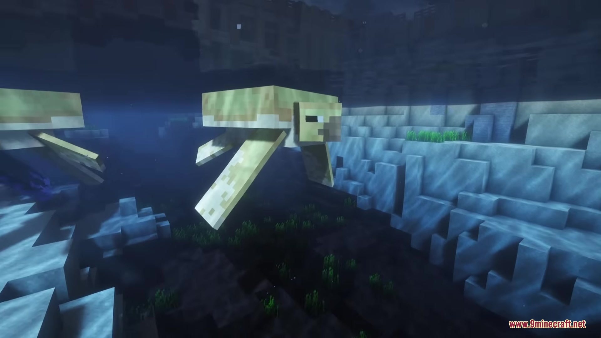 Bosses Oddities Mod Screenshot 1 Two Minecraft turtles swimming through dark blue water in a deep ocean biome