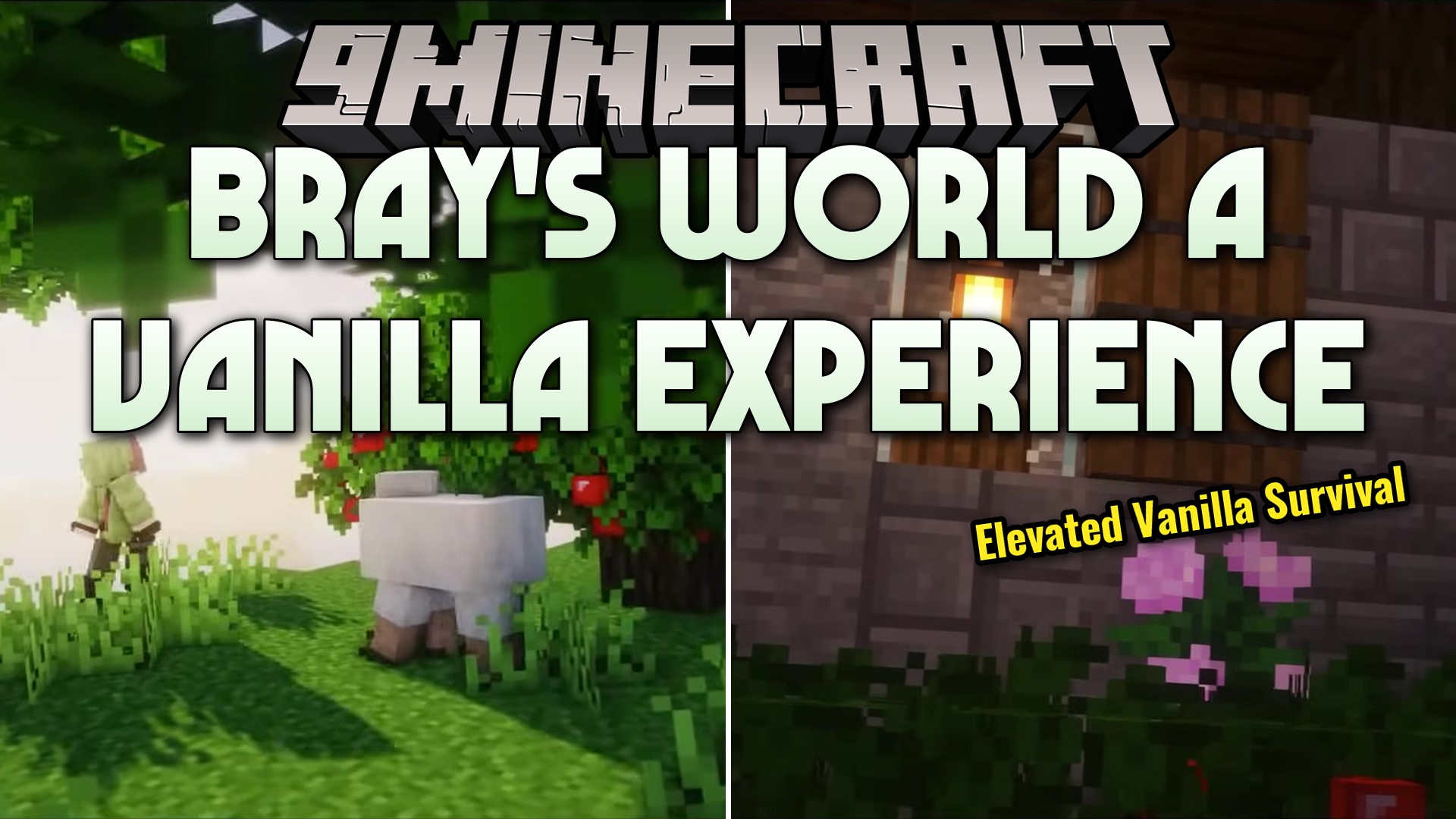 Bray's World a Vanilla Experience Resource Pack