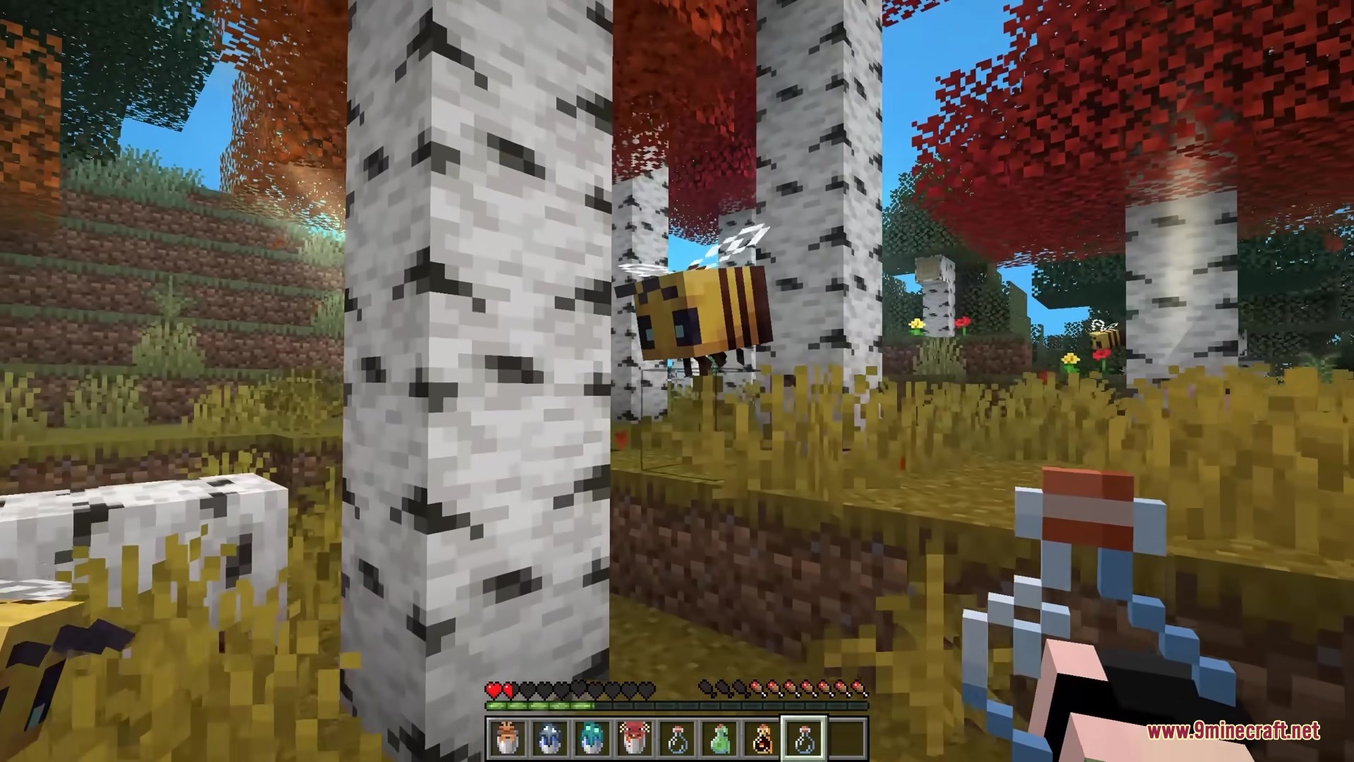 Bucket Em Remodeled Resource Pack Screenshot 4 Player holding a captured bee in a glass bottle while exploring birch forest