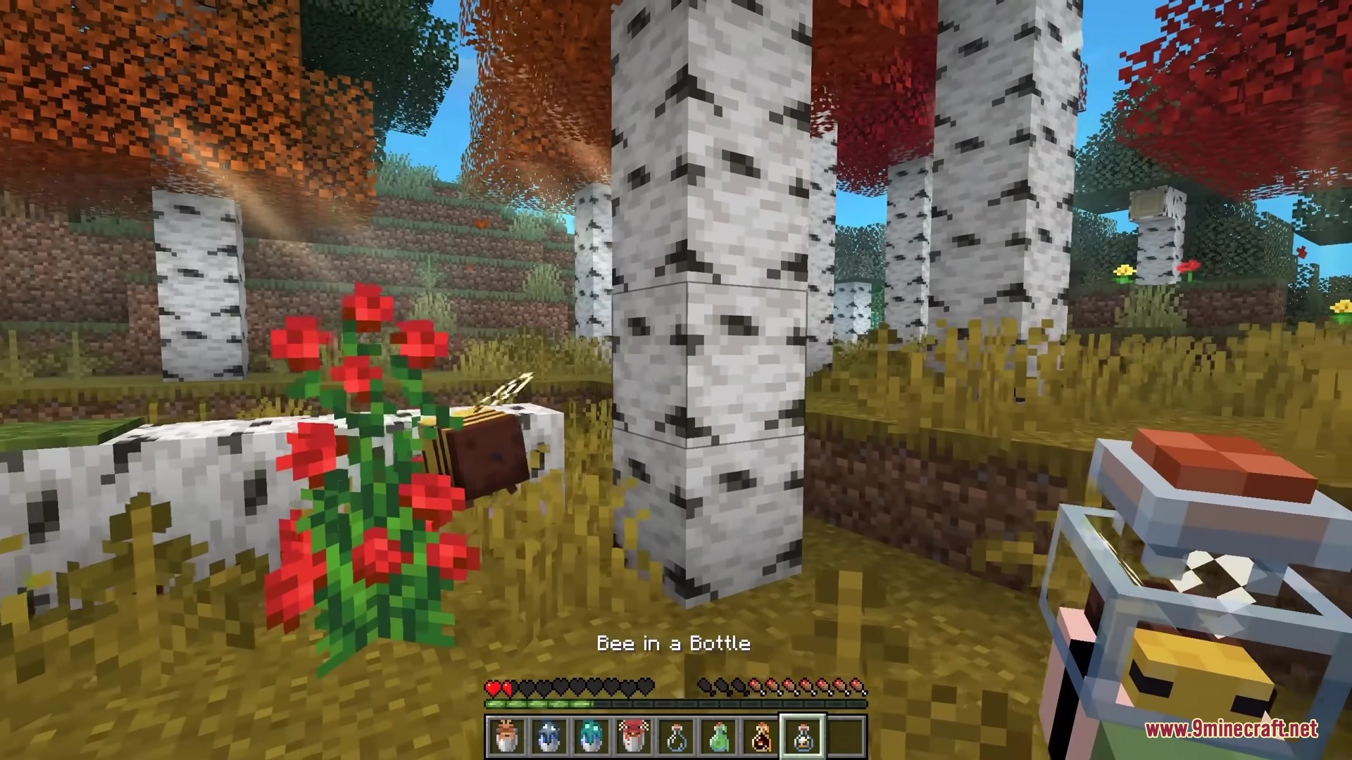 Bucket'Em Mod Screenshot 4 Player holding a bee in a bottle item in a birch forest biome