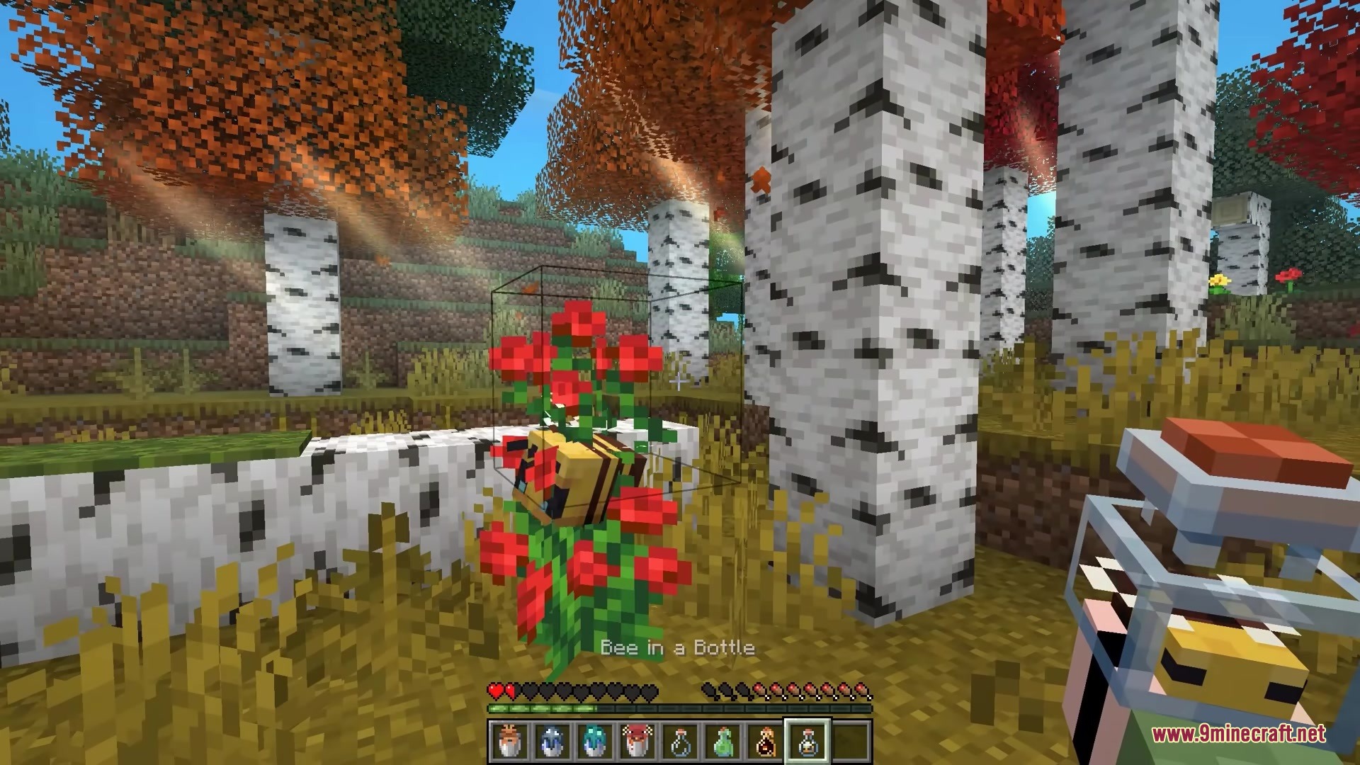 Bucketem Remodeled Resource Pack Screenshot 6 Player capturing a bee near red flowers with a 3D bottle item