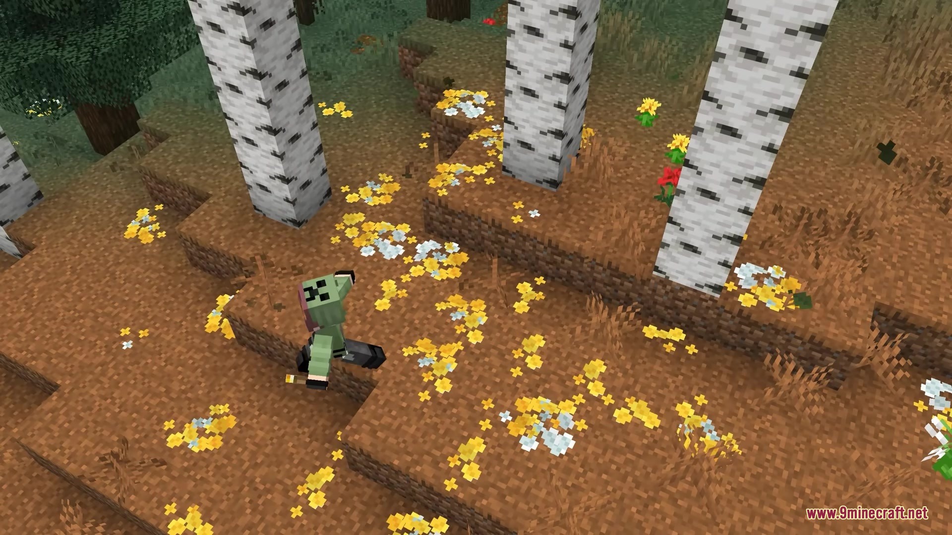 Bushy Pink Petals Wildflowers & Leaf Litter Resource Pack Screenshot 3 A player walks through a birch forest floor covered in thick yellow wildflowers