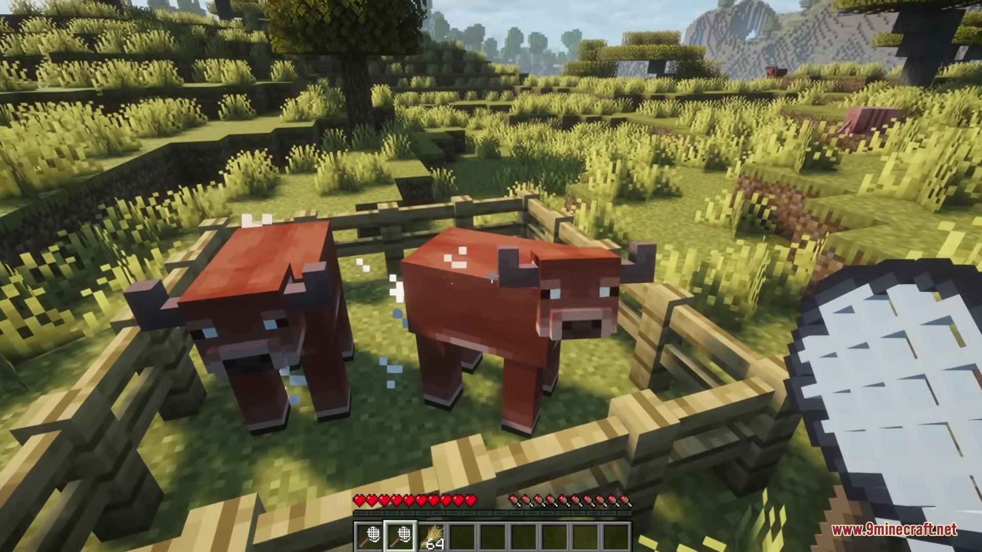 Capture Nets Mod Screenshot 3 Player holding a capture net near two brown cows in a wooden pen