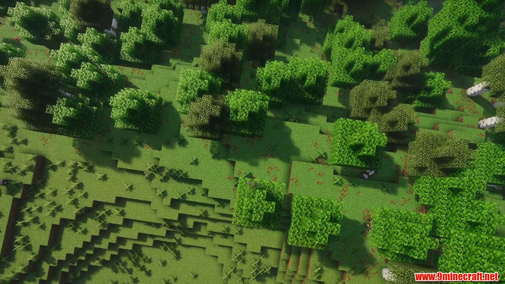 Swamp Village Seed in Minecraft seed 5360588206573553748