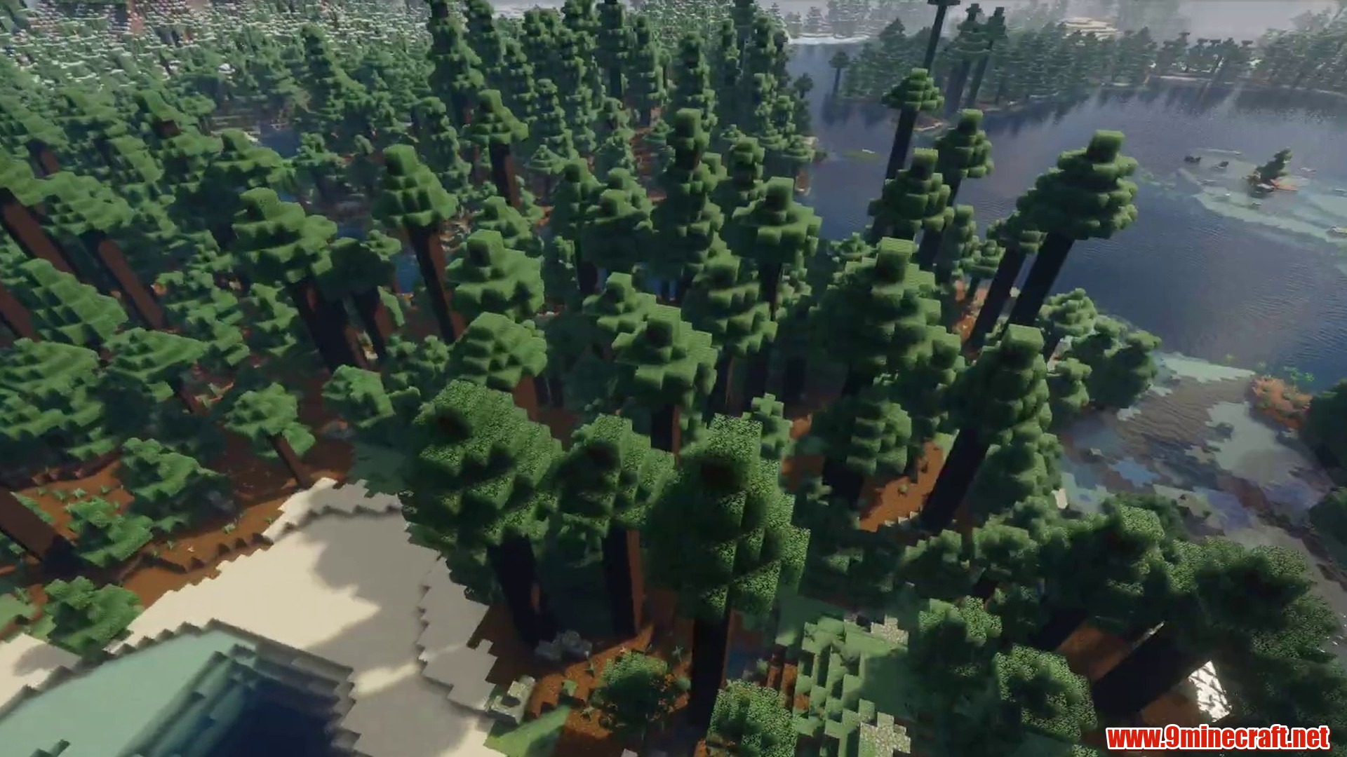Lush Cavern Spawn in Minecraft seed -6286257169949065562