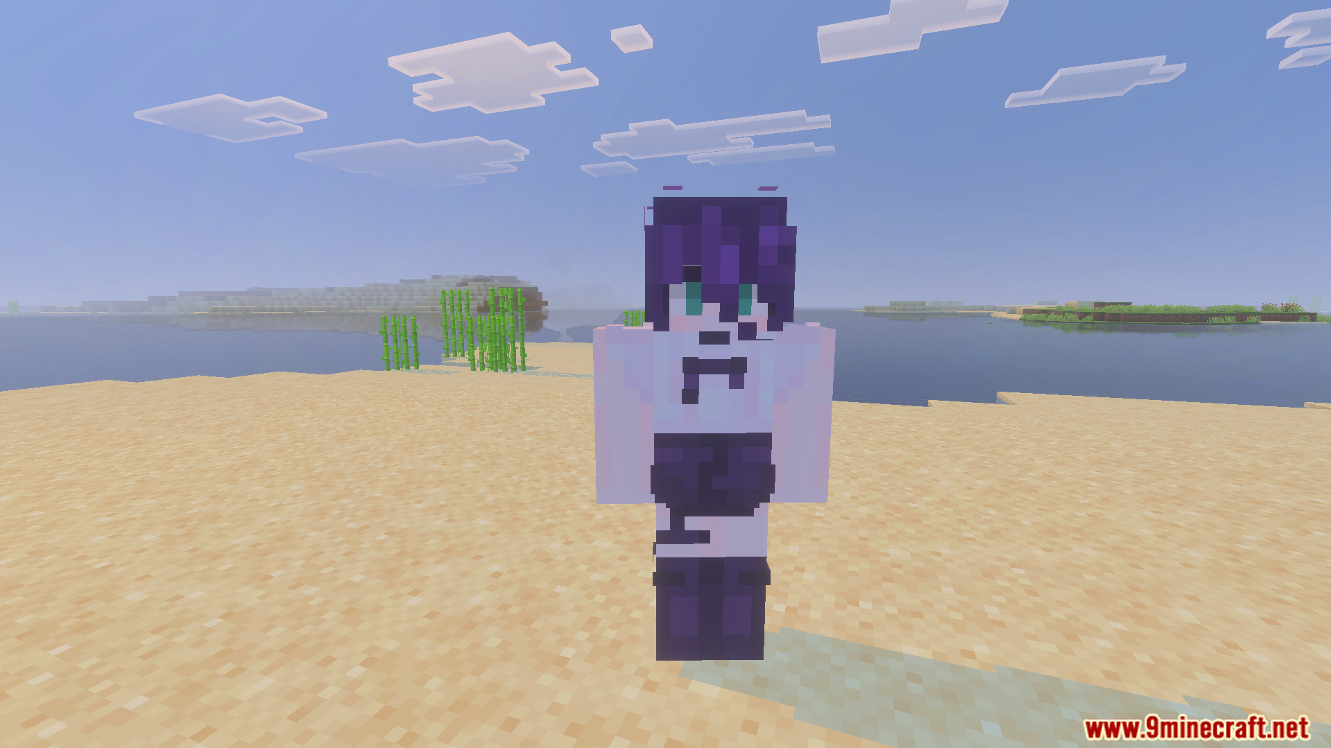Purple haired anime character skin standing on a beach in Minecraft world