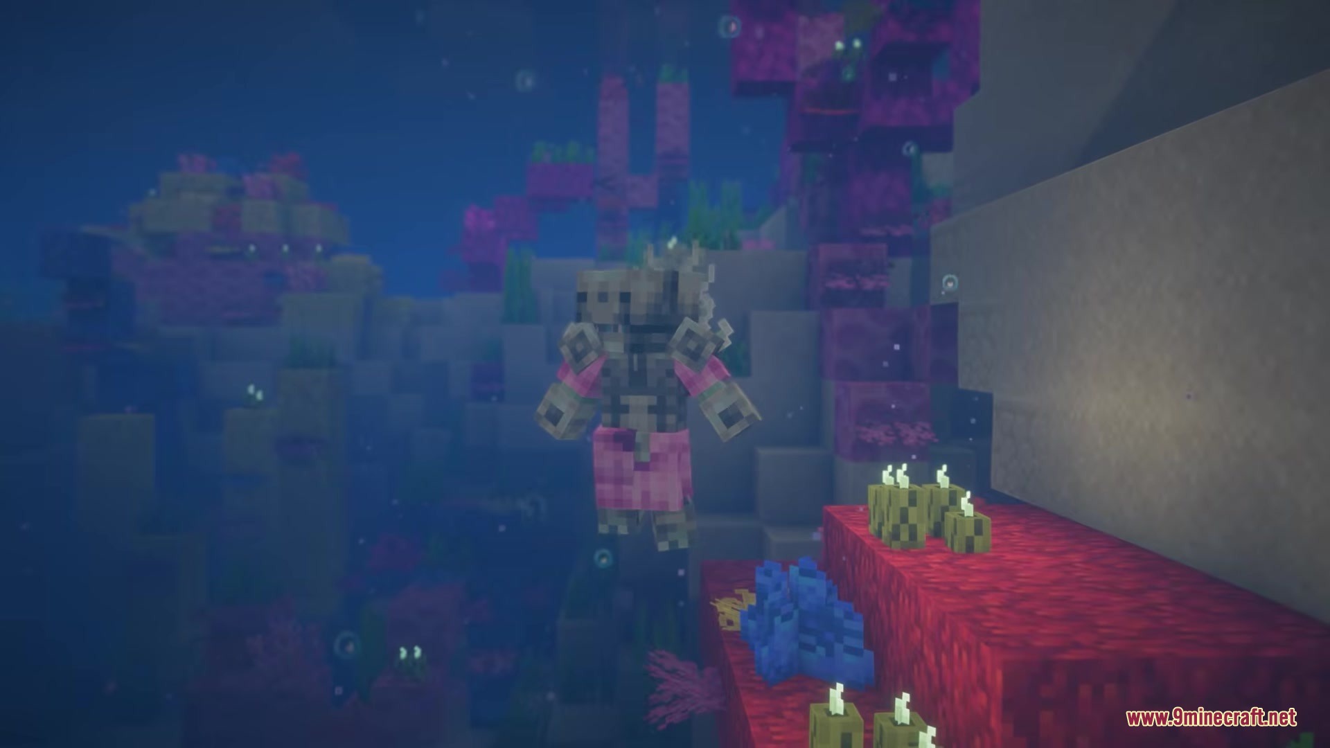 Clothing of the Lowlands Mod Screenshot 10 A player wearing Axolotl Warrior armor swims through a colorful coral reef