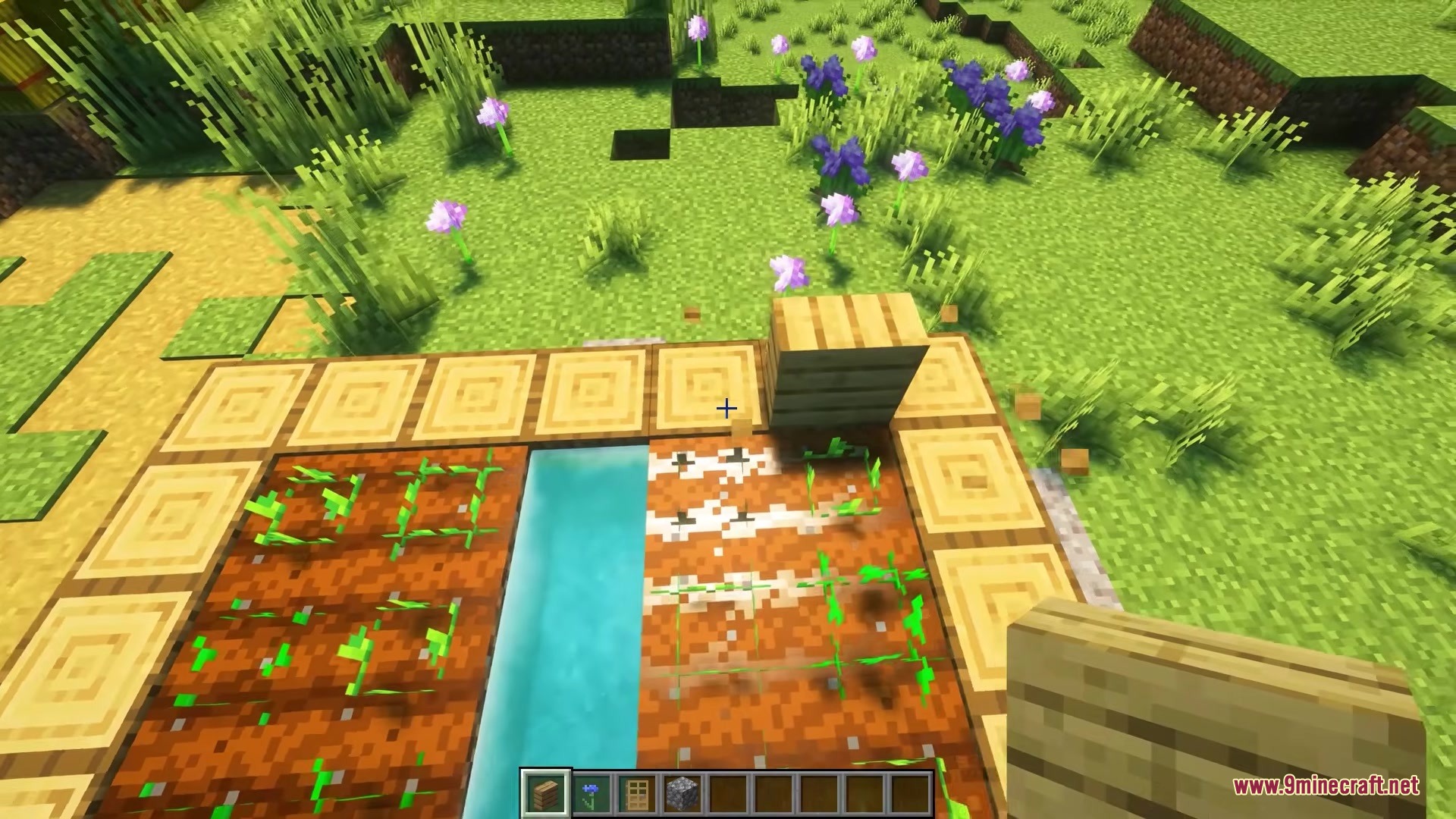 A player uses oak slabs to border a small farm in Minecraft