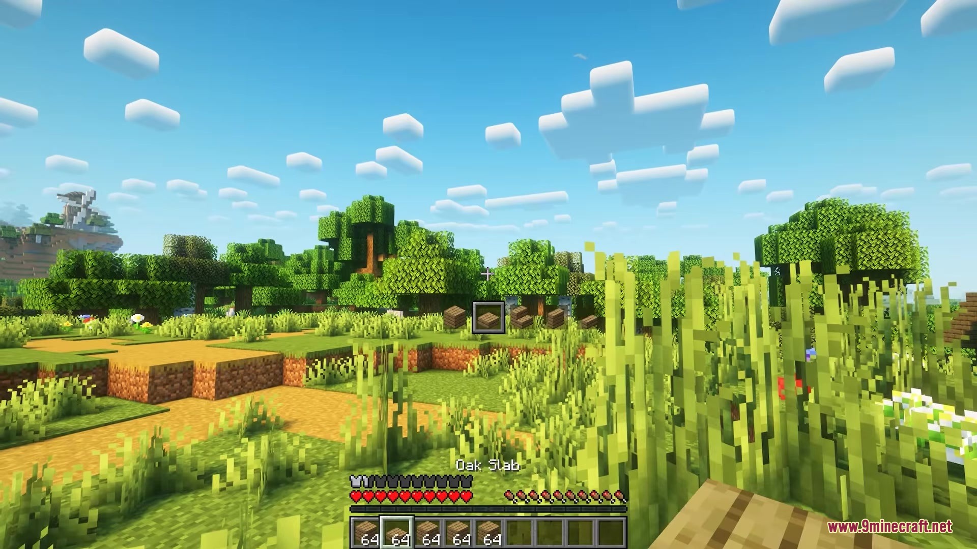 Player uses Clutter No More Mod to cycle through different block shapes