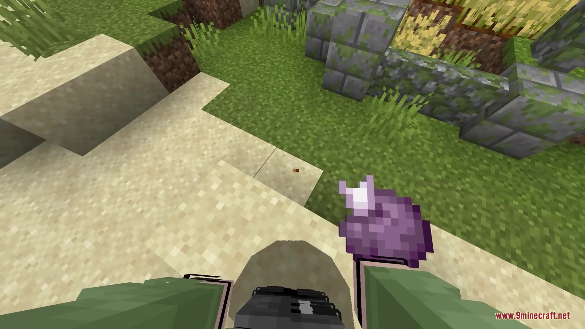 Consumability Resource Pack Screenshot 3 A Minecraft player holding a chorus fruit with the Consumability resource pack