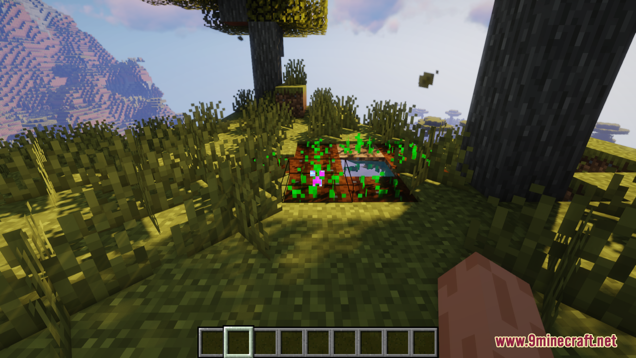 A small garden with growing crops and a pink flower in the grass