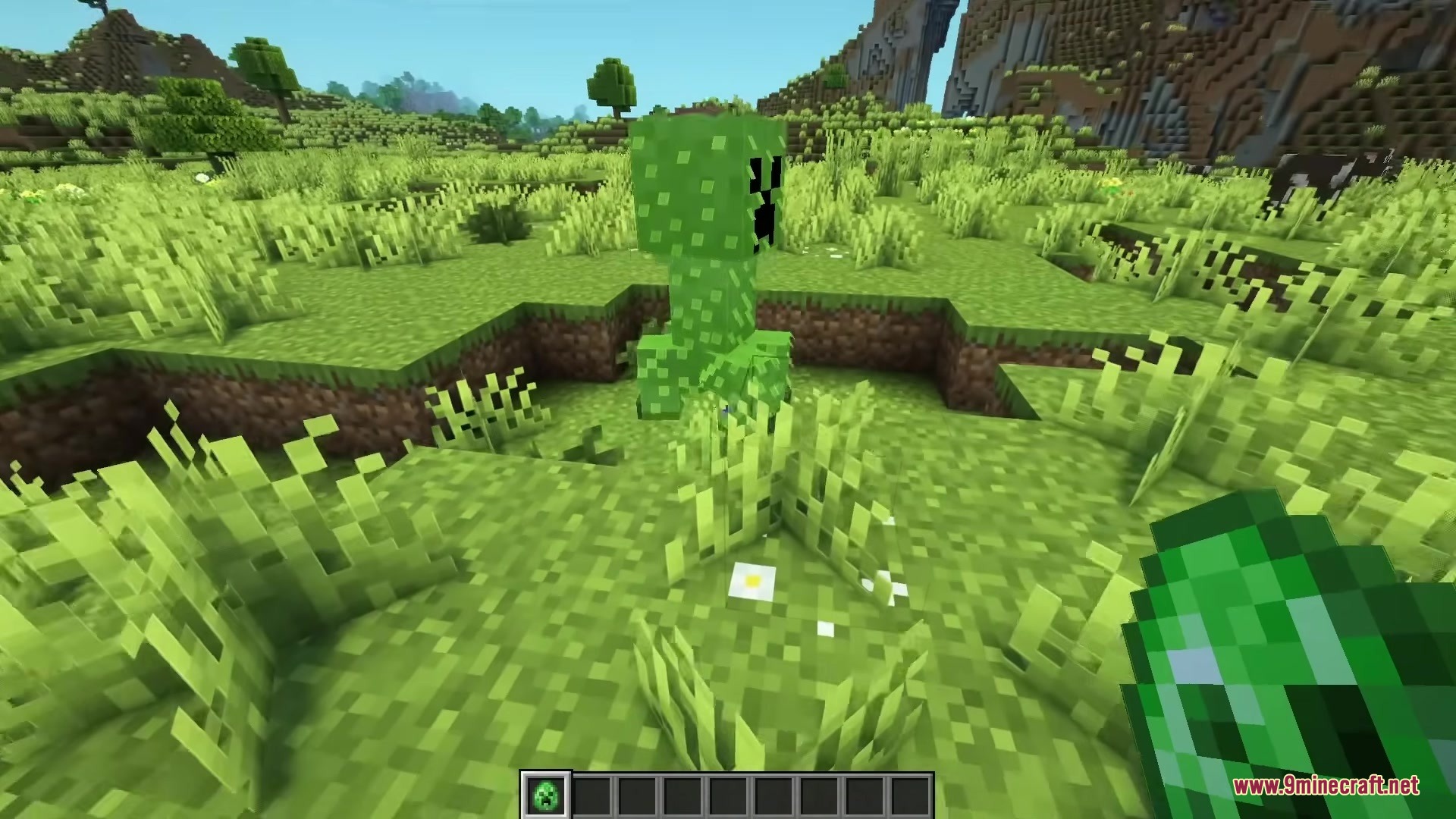 A furry creeper mob stands in a grassy field with mountains behind it