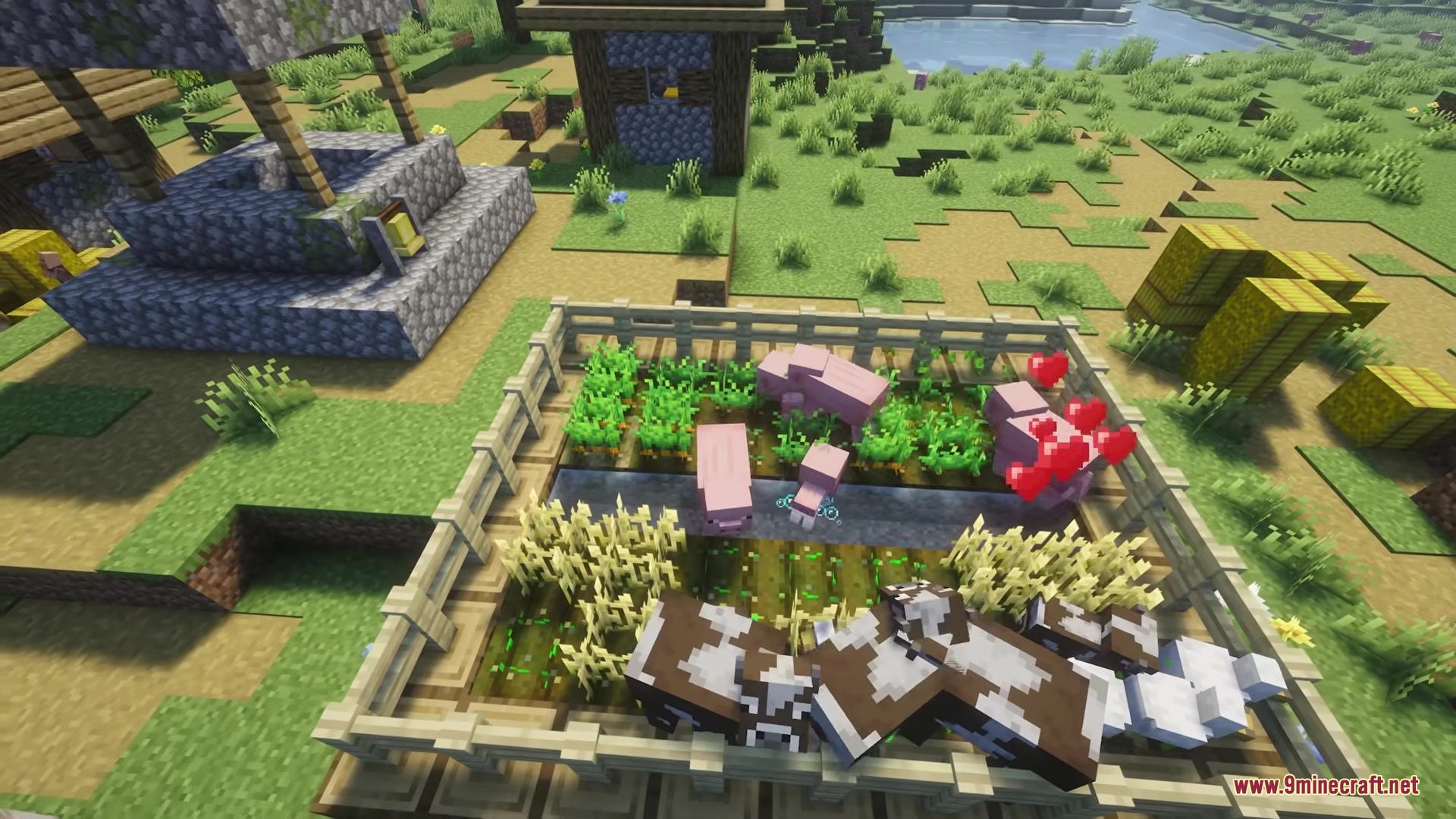 Cube Animals Mod Screenshot 1 Pigs and cows breeding in a fenced farm area with wheat and carrot crops