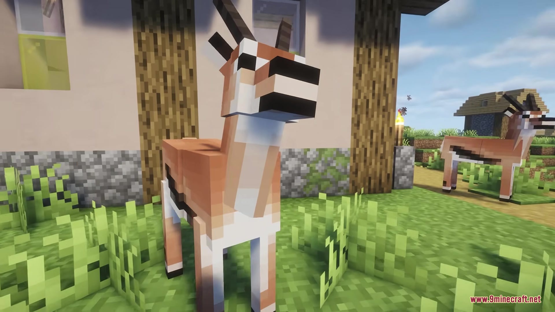 Cube Animals Mod Screenshot 6 A gazelle looks at the camera while standing in a grassy village field