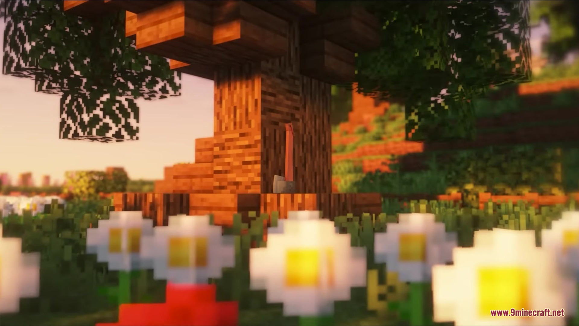 An axe stuck in a tree trunk surrounded by white daisy flowers