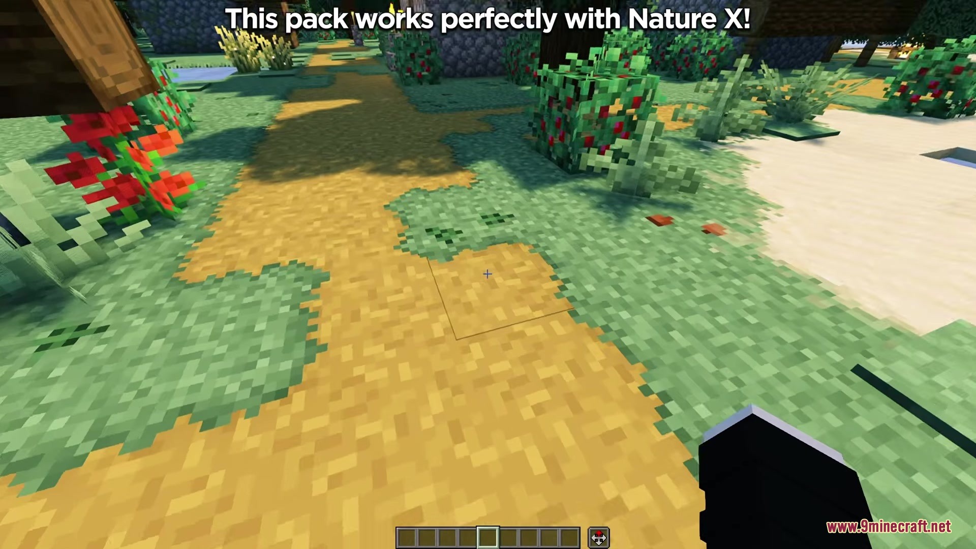 Deep Origins Overlays Resource Pack Screenshot 9 Deep Origins Overlays creates smooth transitions between dirt paths and green grass