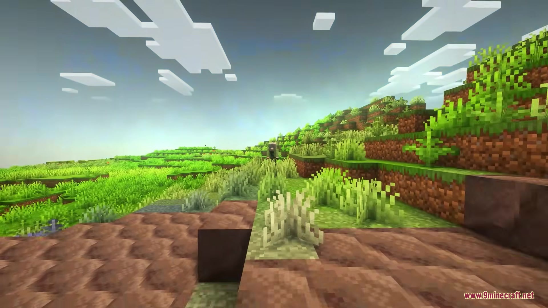 Sunlight shines over a lush green field with hills in Minecraft