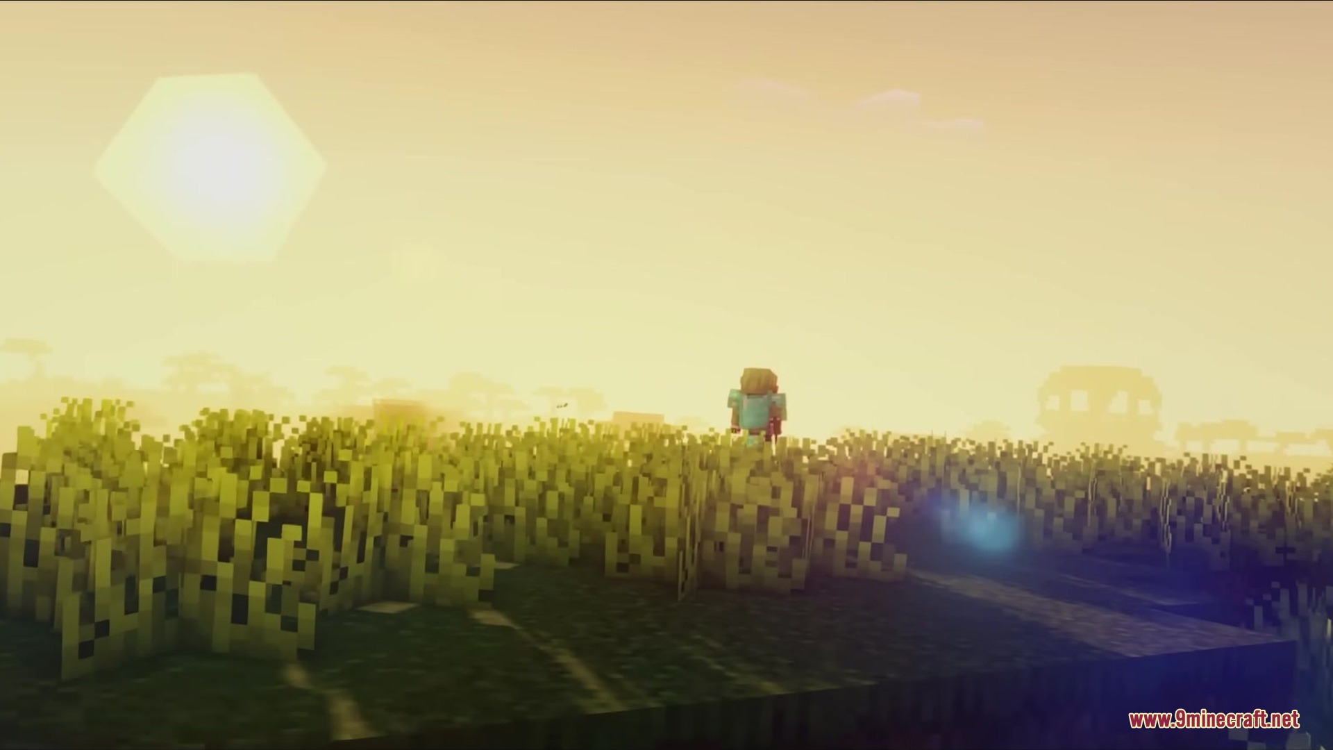 Detailed Animations Tester Resource Pack Screenshot 1 A player in diamond armor stands in tall grass during a warm golden sunset