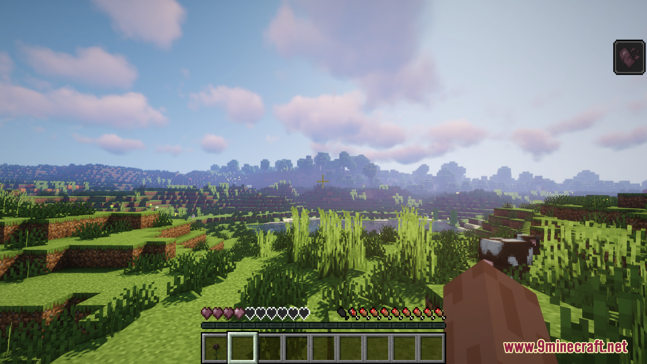Dev's Better Wither Hearts Resource Pack Screenshot 4 The health bar displays modified wither hearts during gameplay in a plains biome