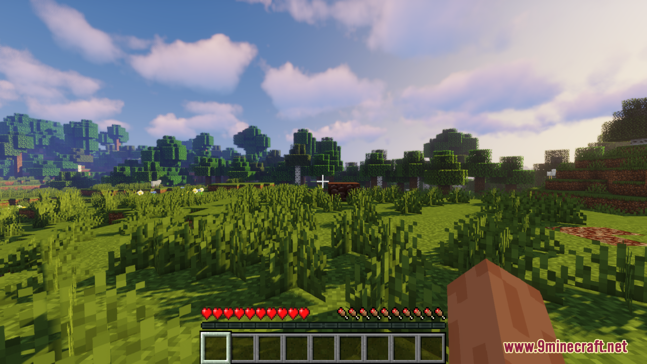 A player stands in a grassy field with standard red health hearts