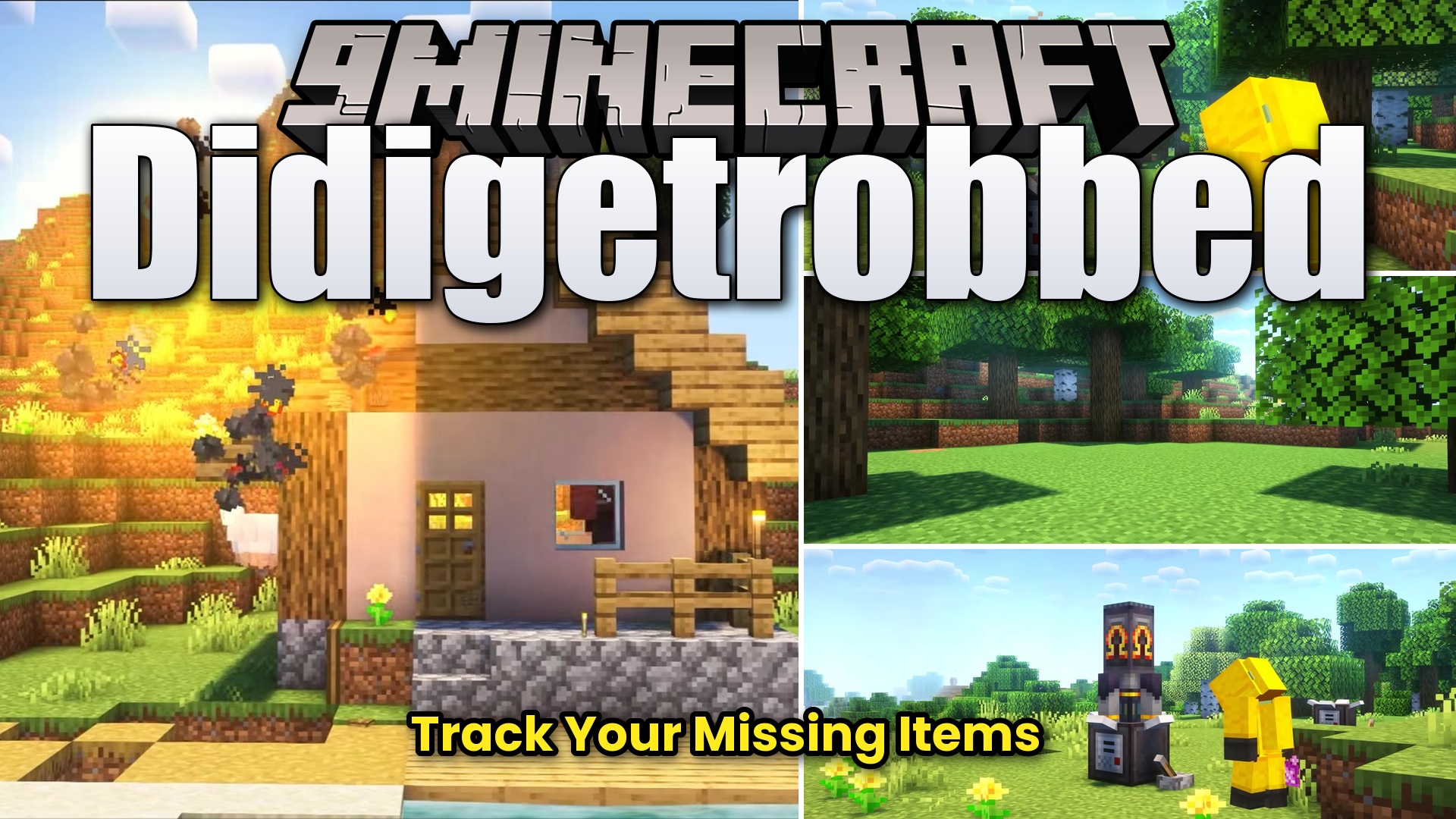Didigetrobbed Mod