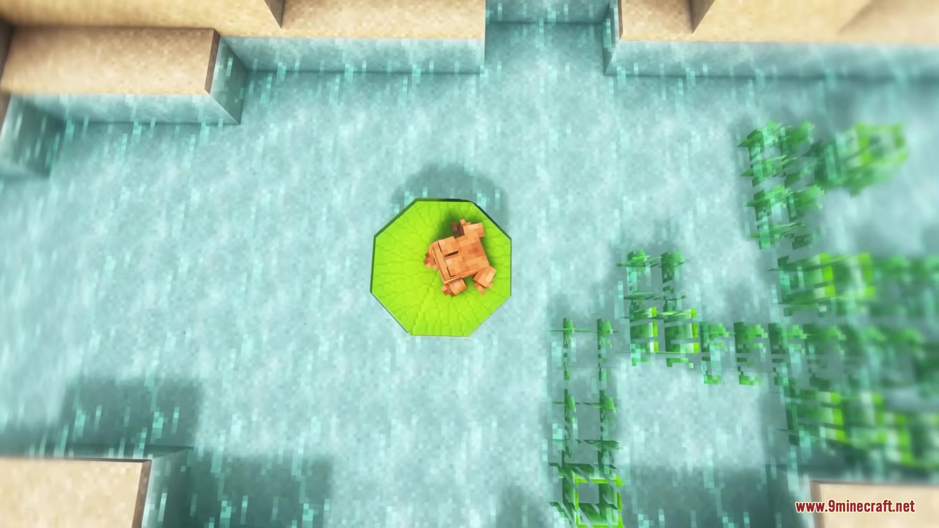 Dodo's Mobs Mod Screenshot 6 Top down view of a frog resting on a green lily pad