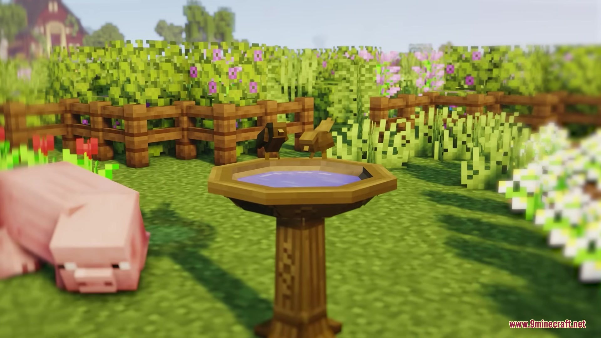Dodo's Mobs Mod Screenshot 8 A pig walks past a wooden birdbath with two brown birds