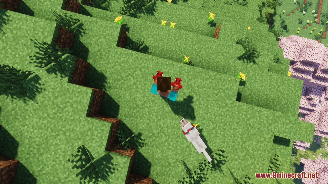 Dragon Totem of Undying Resource Pack Screenshot 9 Top down view of player holding Dragon Totems of Undying with a wolf