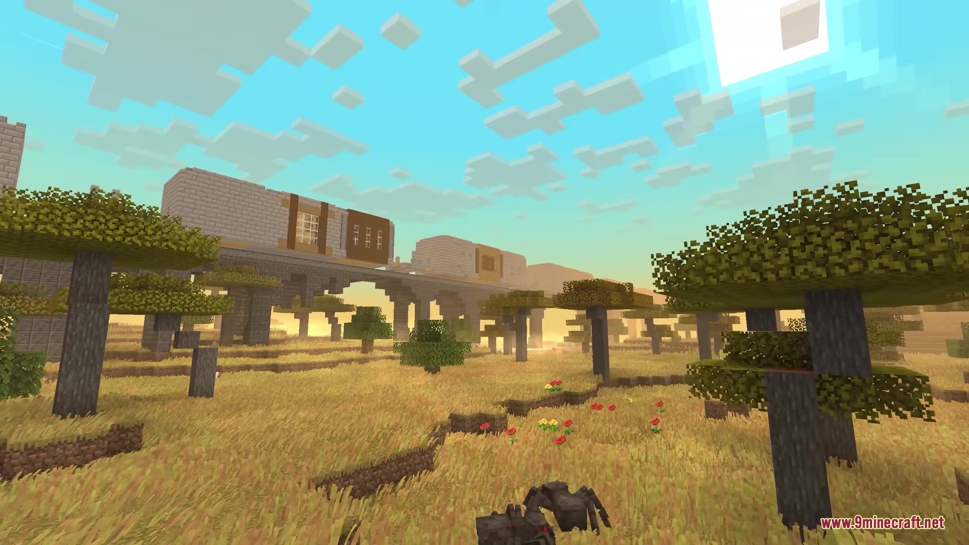 A stone train on a bridge viewed from a savanna with a spider