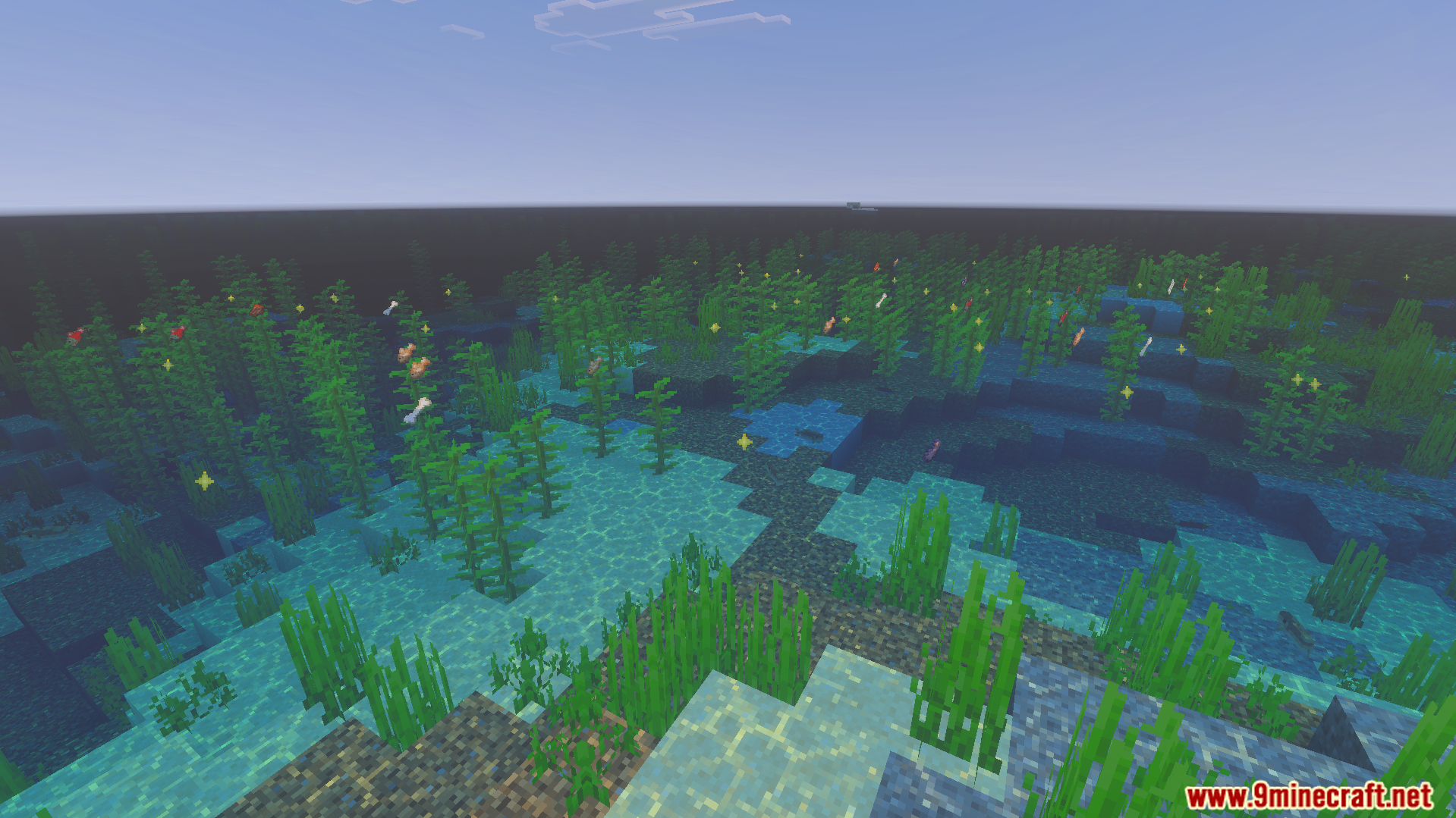 Clear underwater view showing kelp and seagrass with removed heavy background features