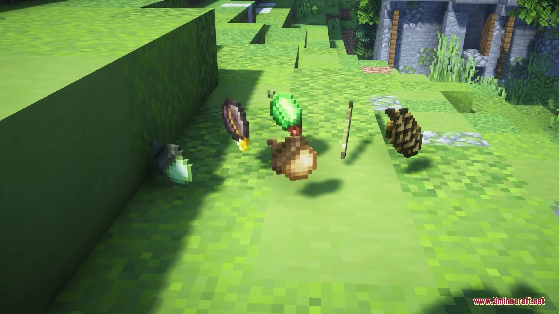 Various tree seed items like acorns and pinecones floating on the grass