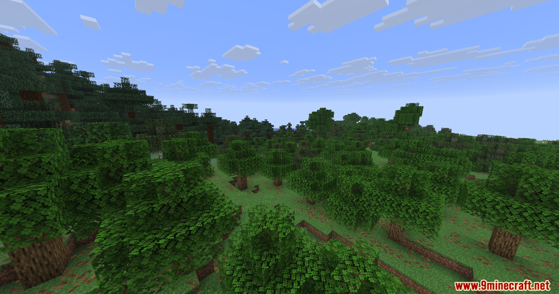 A scenic view of a lush green forest biome in Minecraft