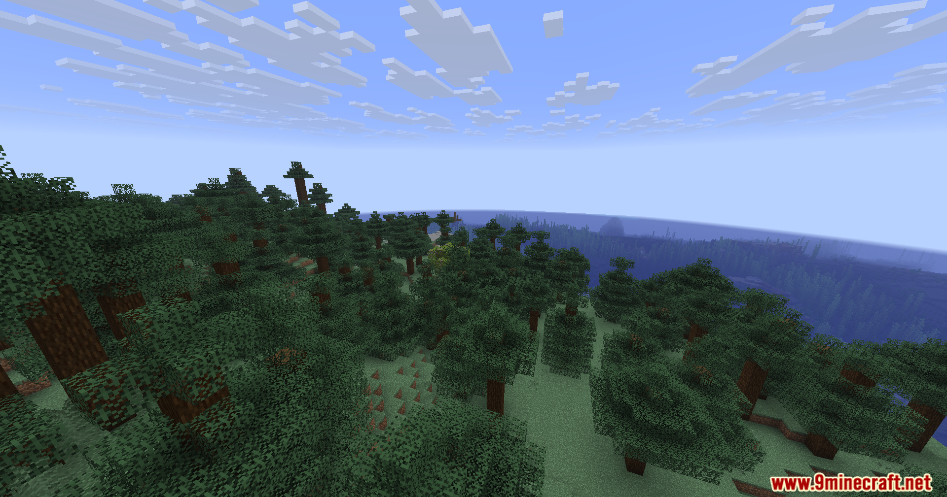 Spruce forest biome next to a vast ocean under a bright blue sky